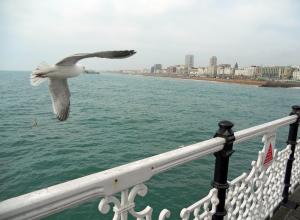 Brighton