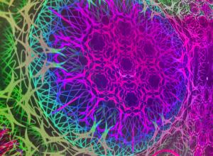 Psychedelic Art