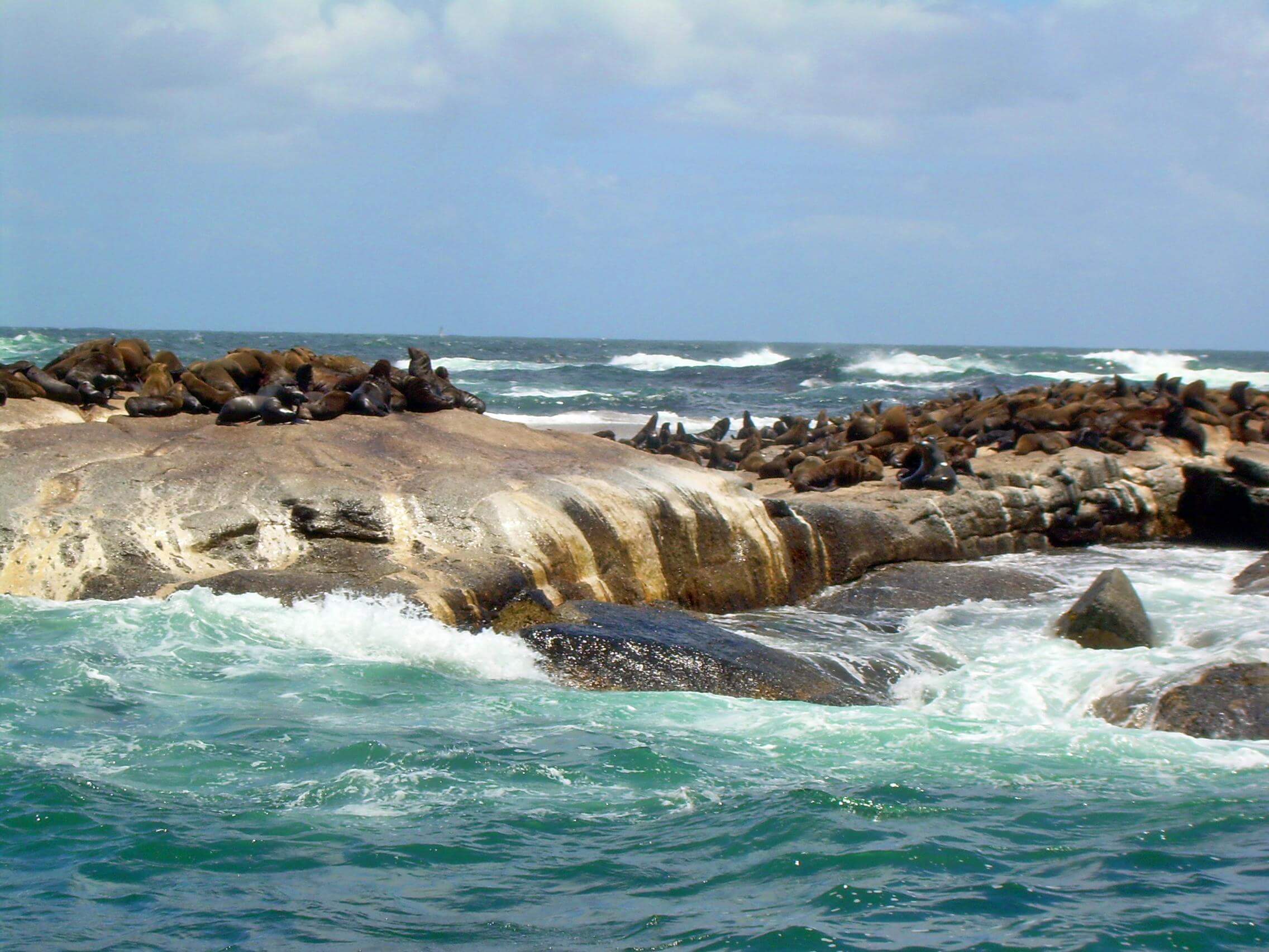 Seal Island