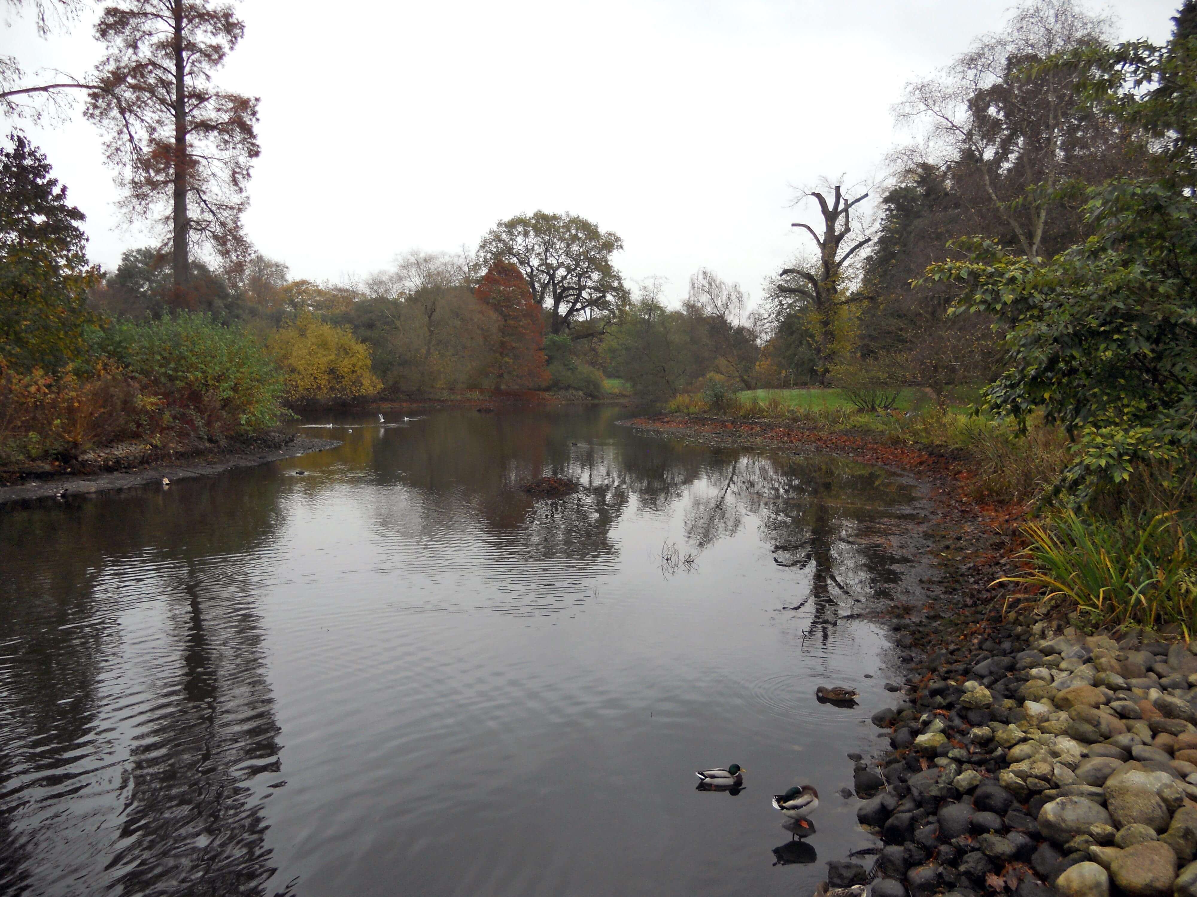 Kew Gardens - Autumn