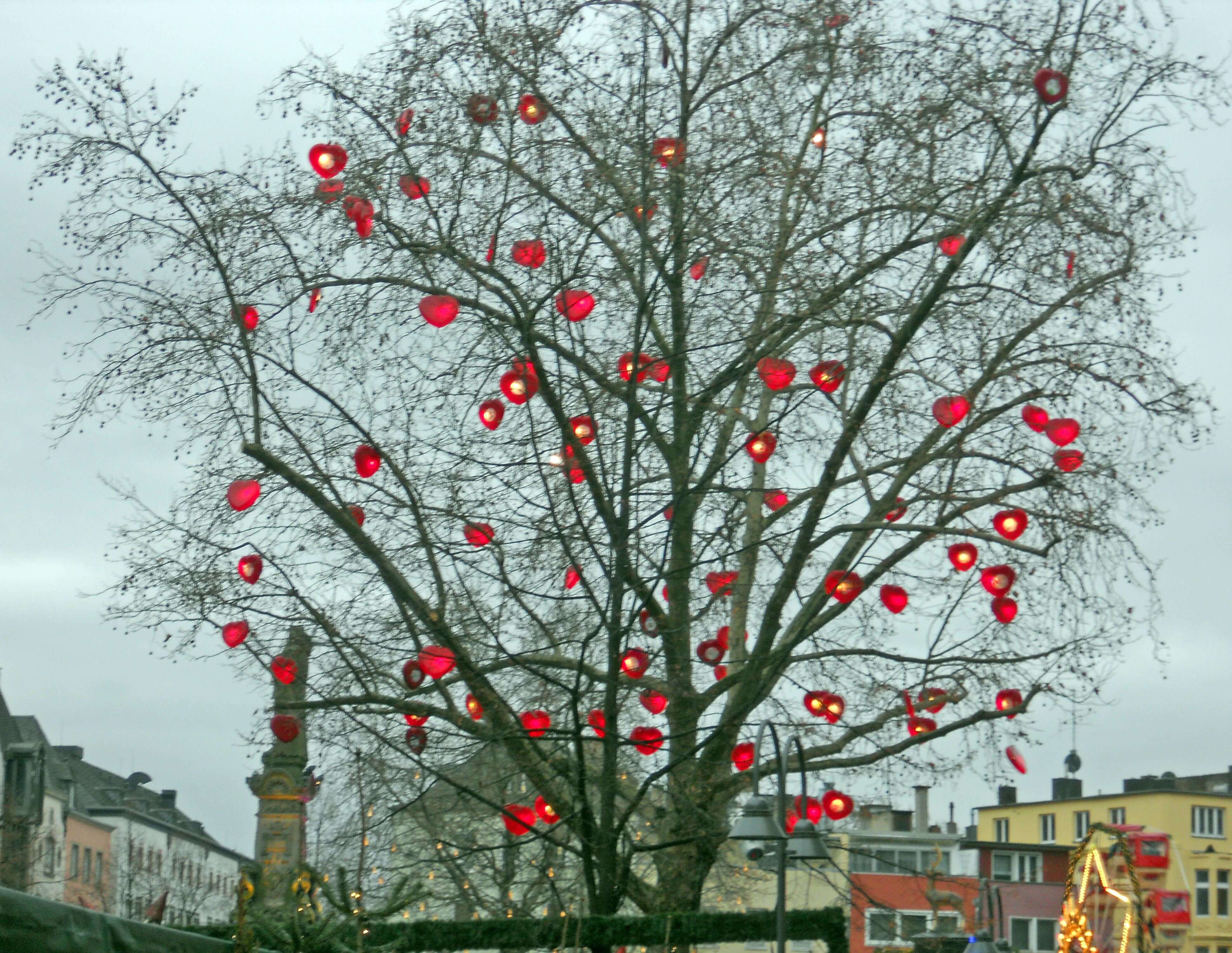 Decorated Winter Tree