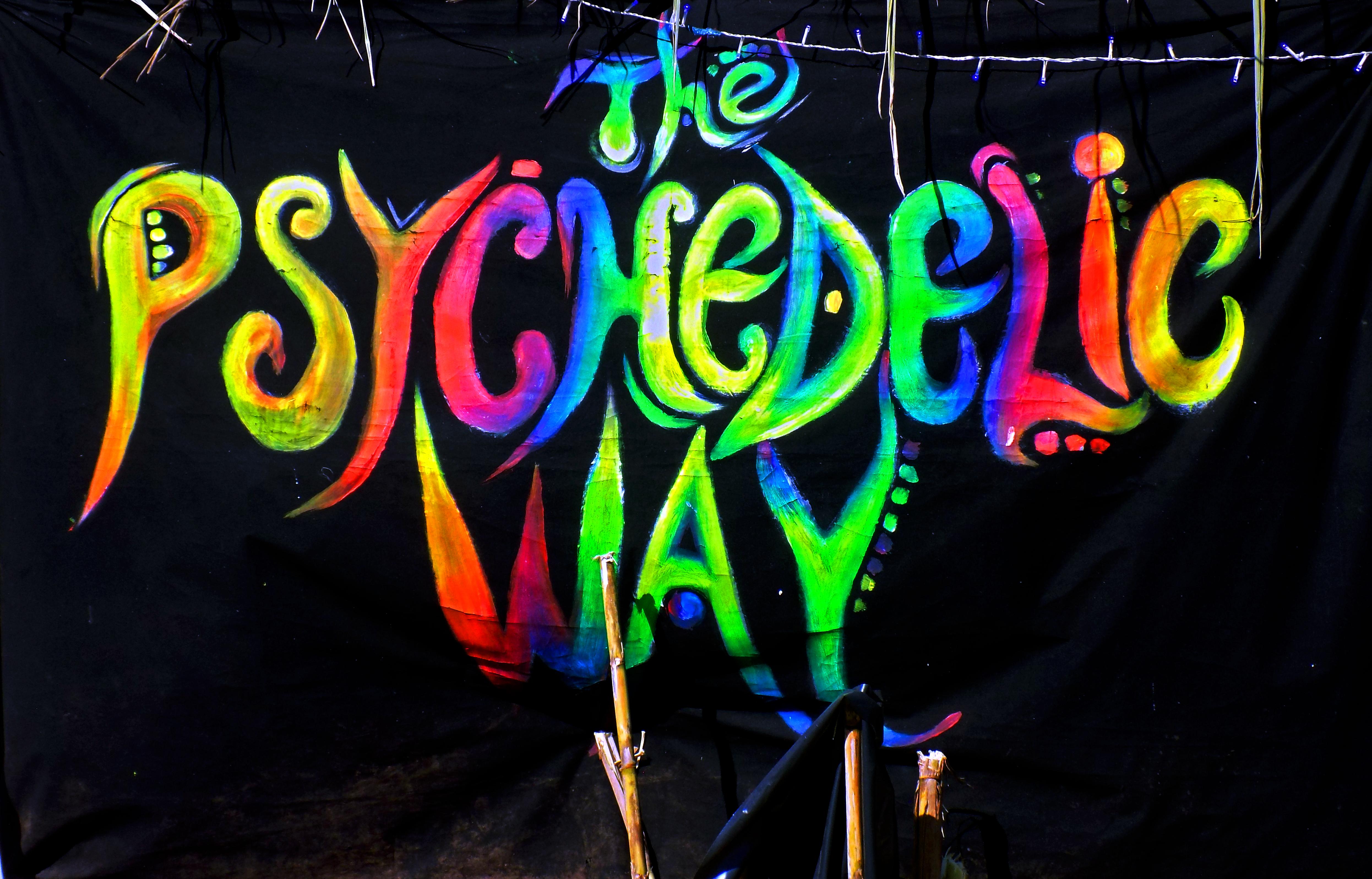 The Psychedelic Way