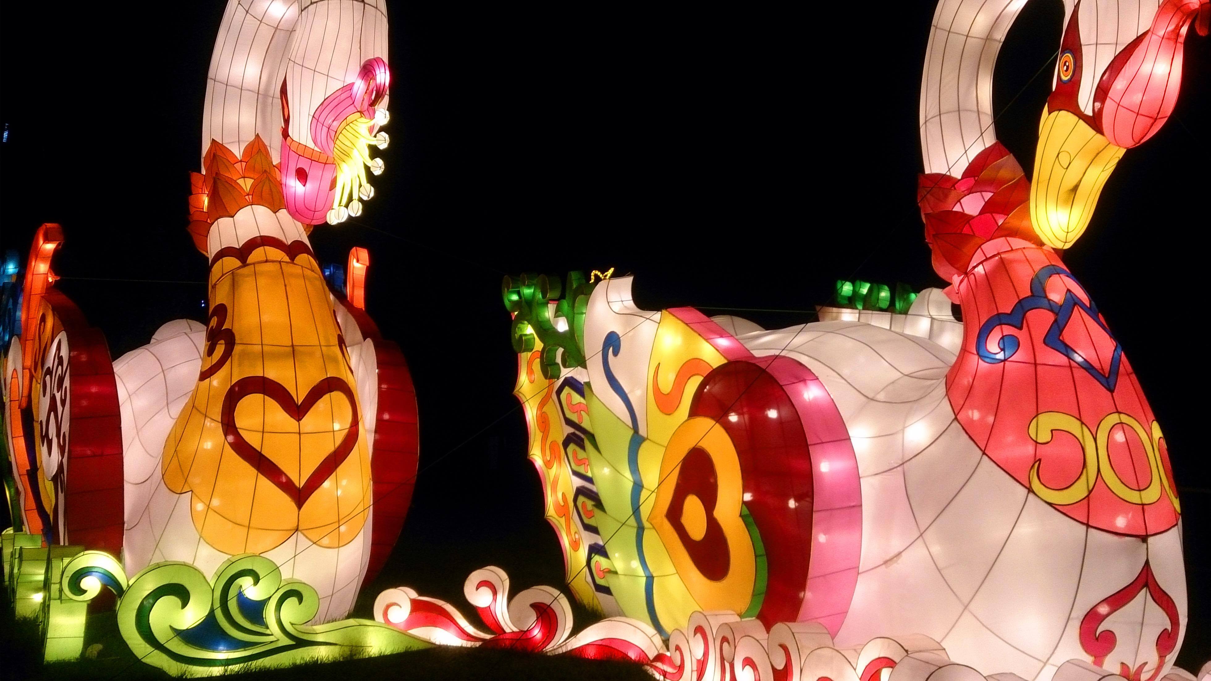 Swan Lanterns
