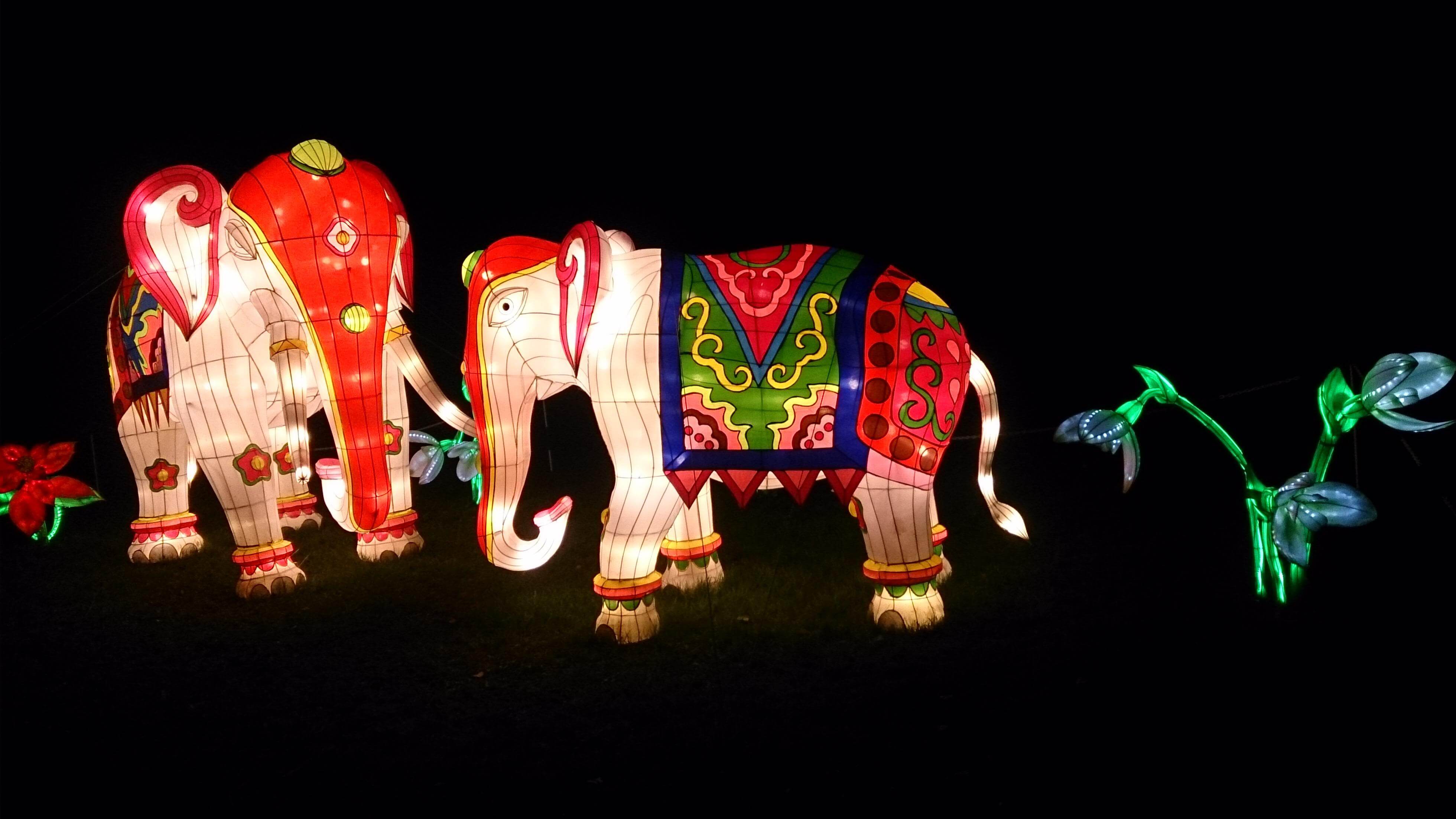 Elephant Lanterns