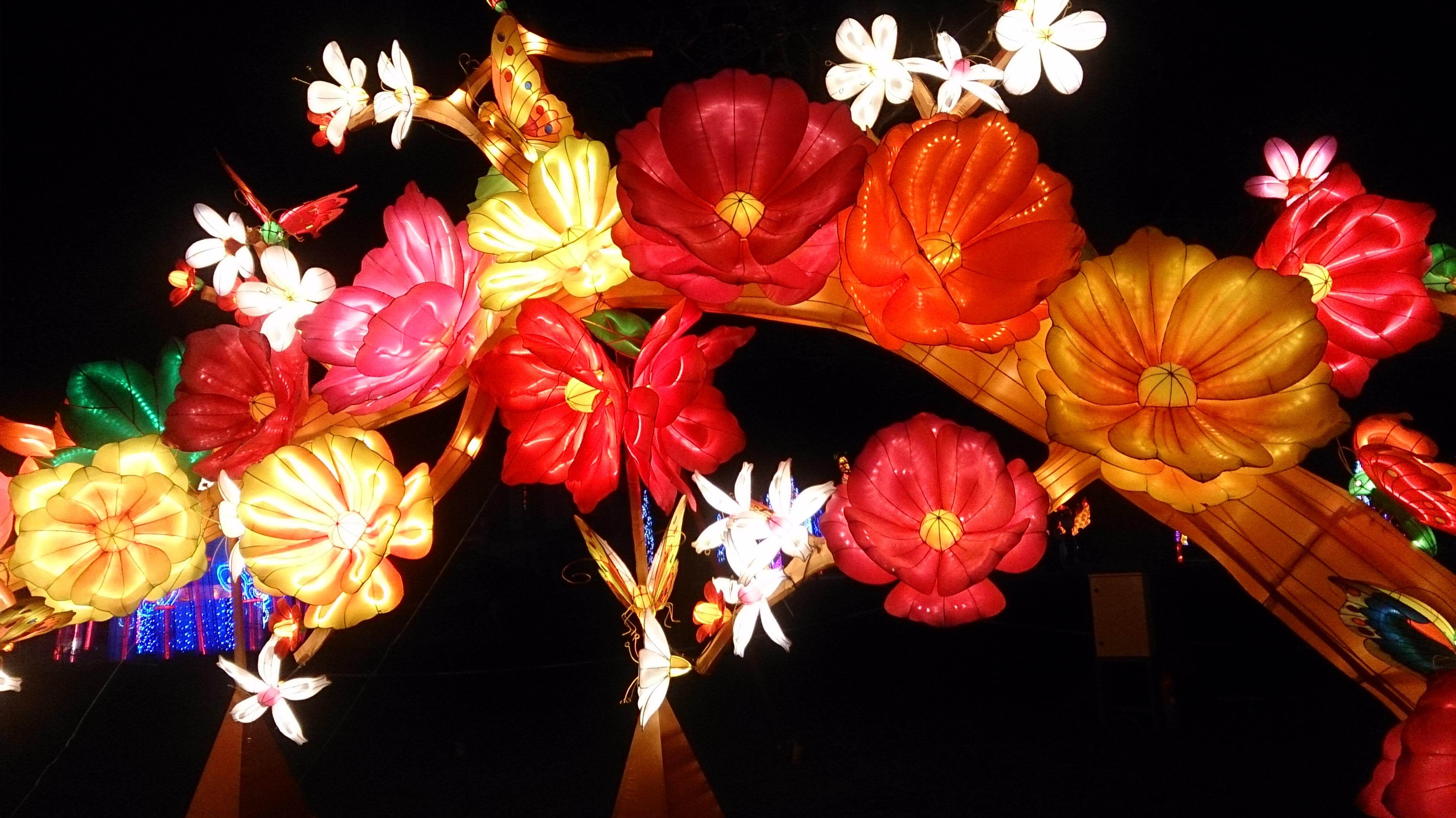 Flower Lanterns