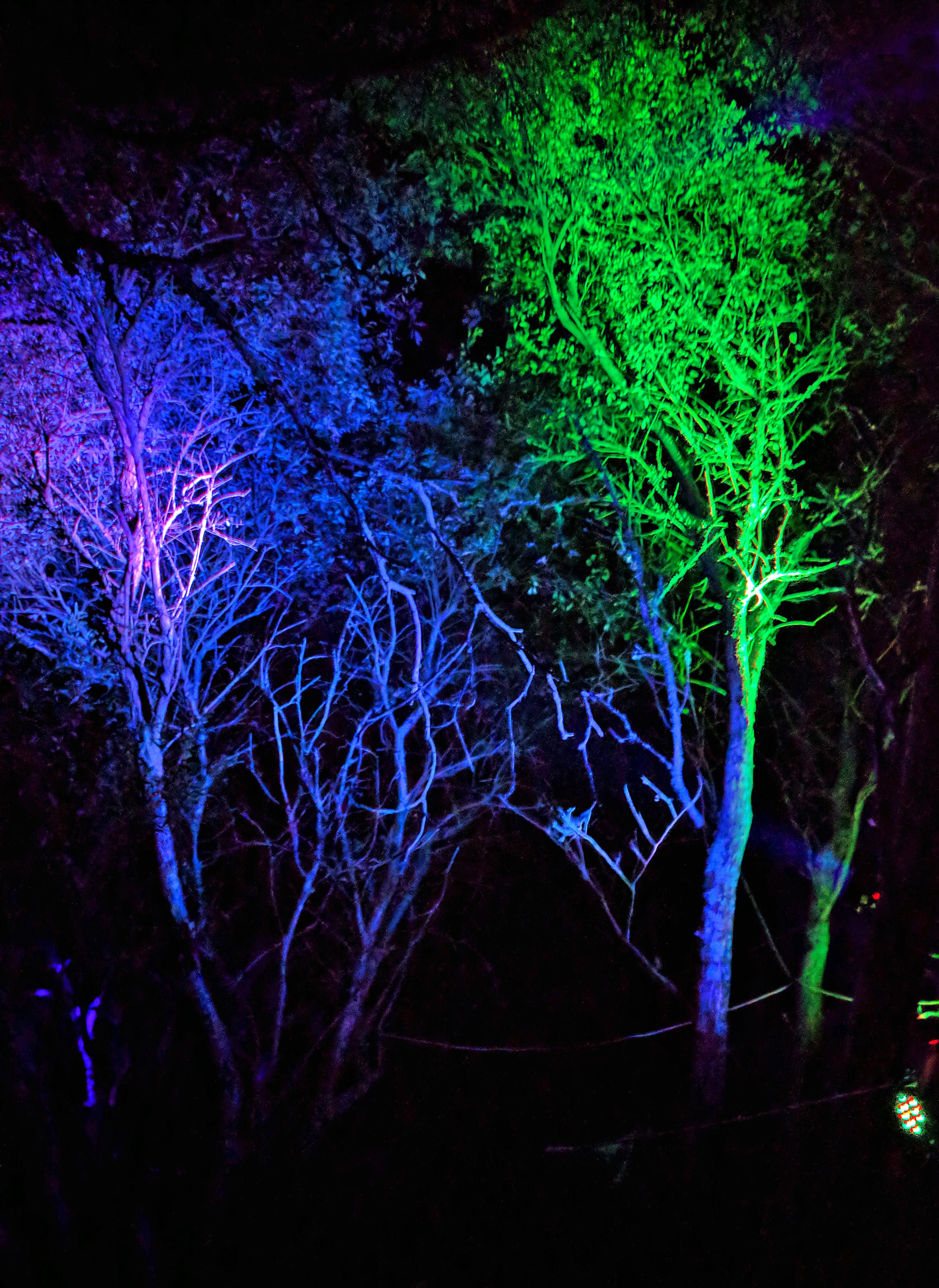 UV Tree's