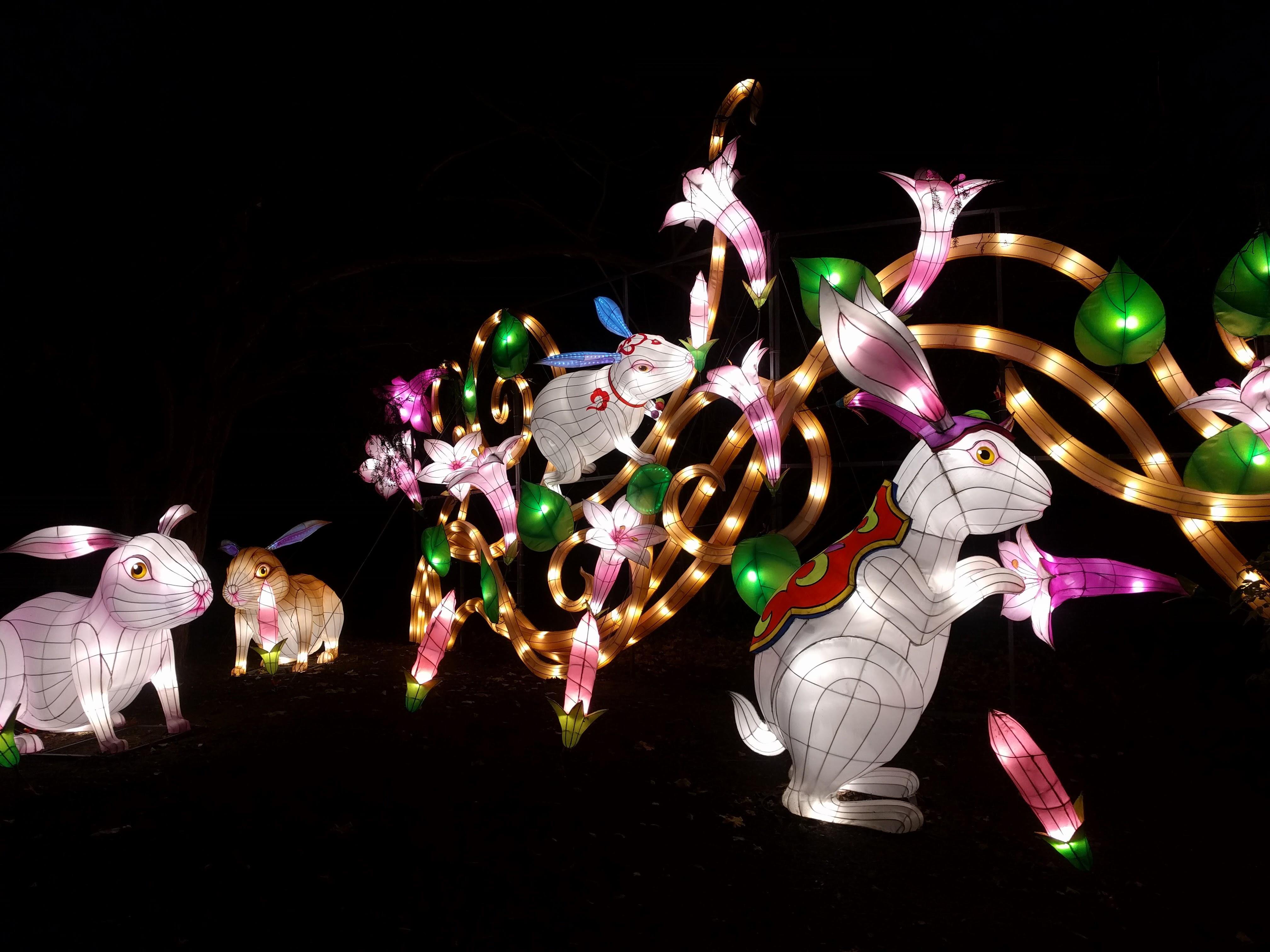 Rabbit Lanterns