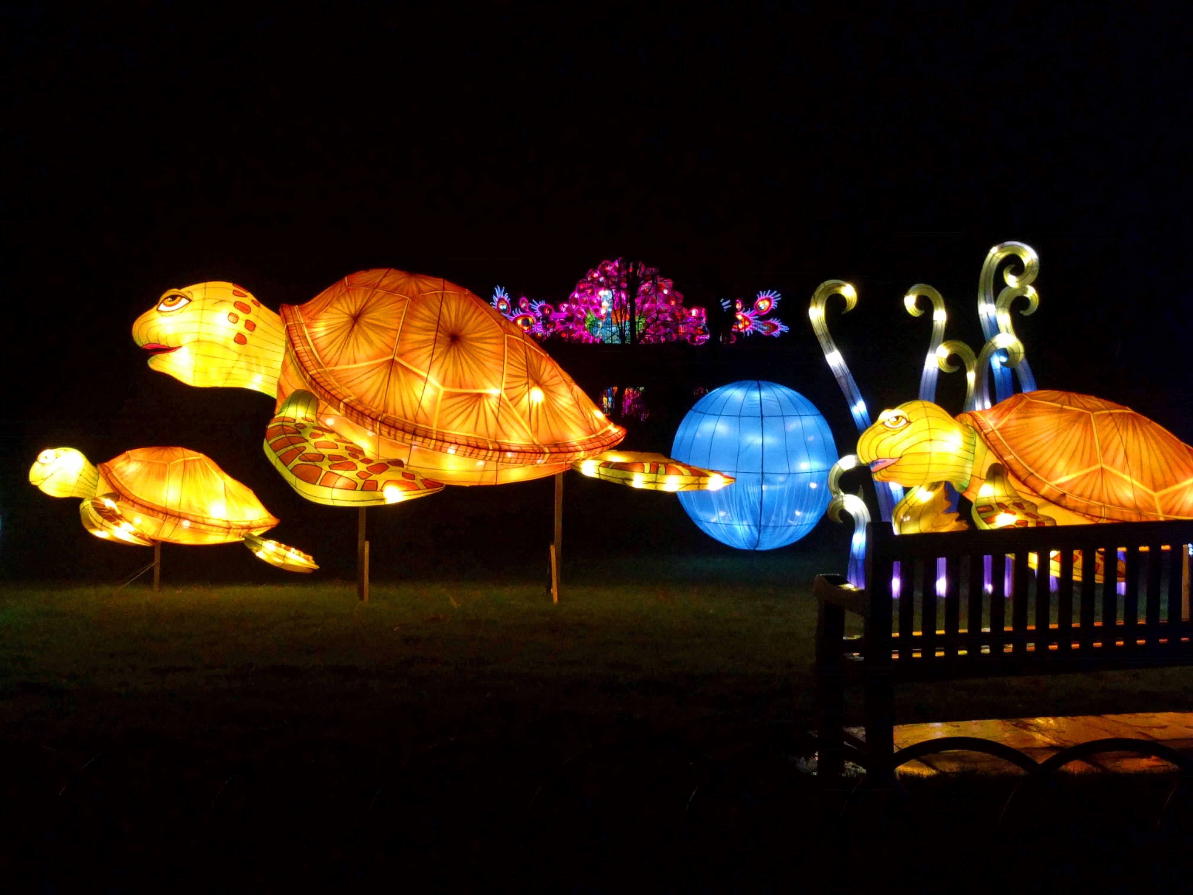 Turtle Lanterns
