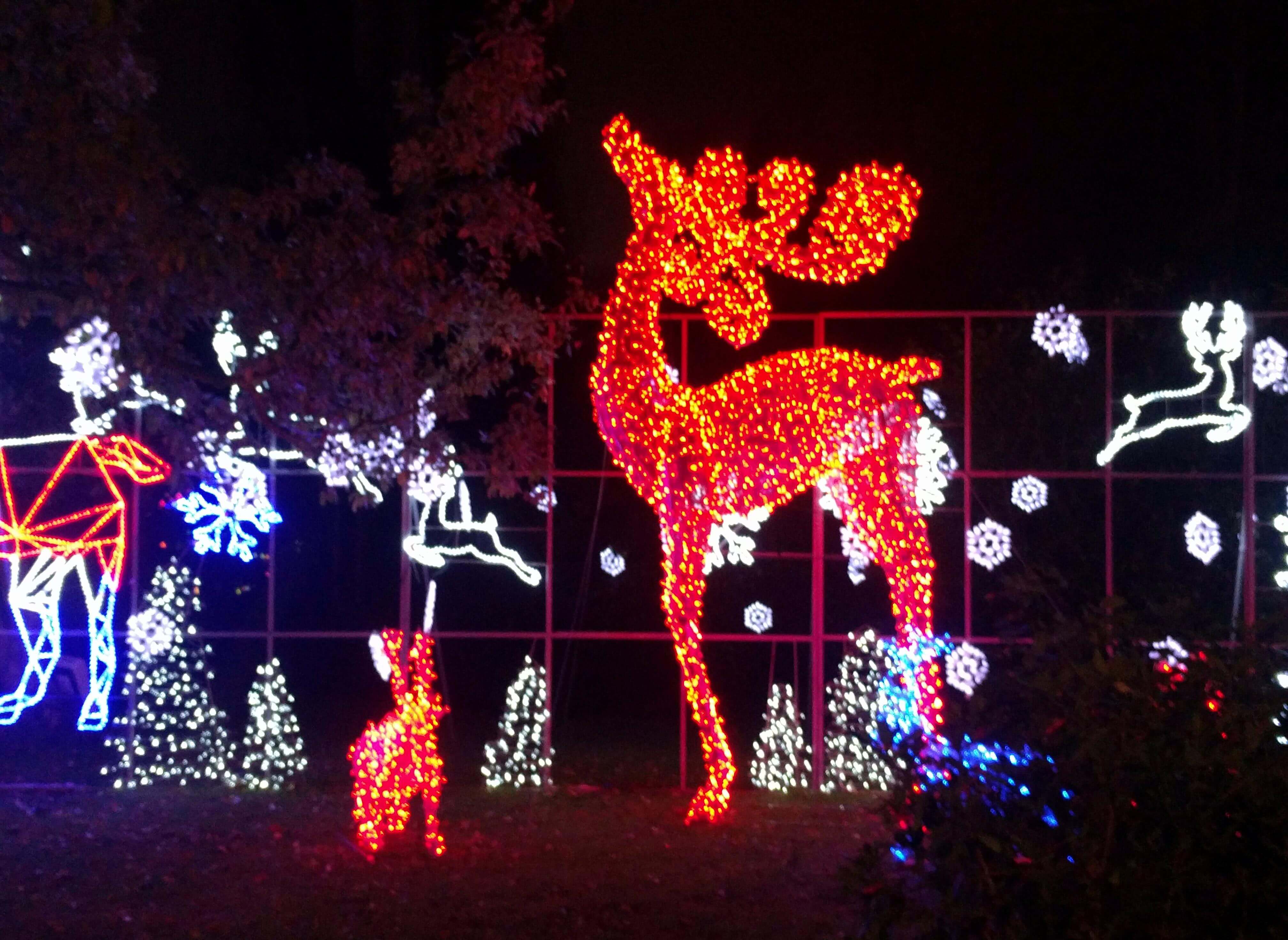 Reindeer Lanterns
