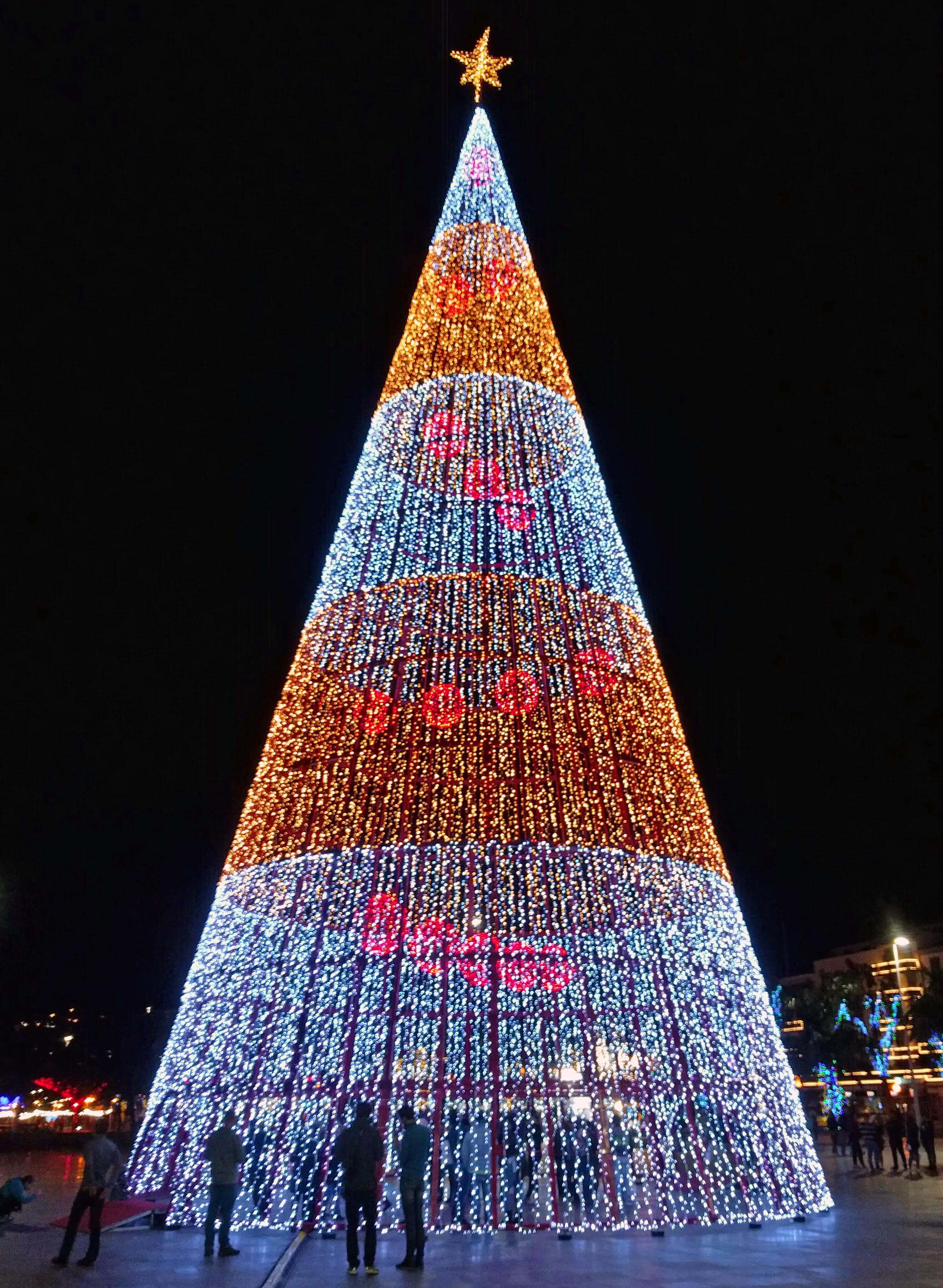 Funchal Christmas Tree