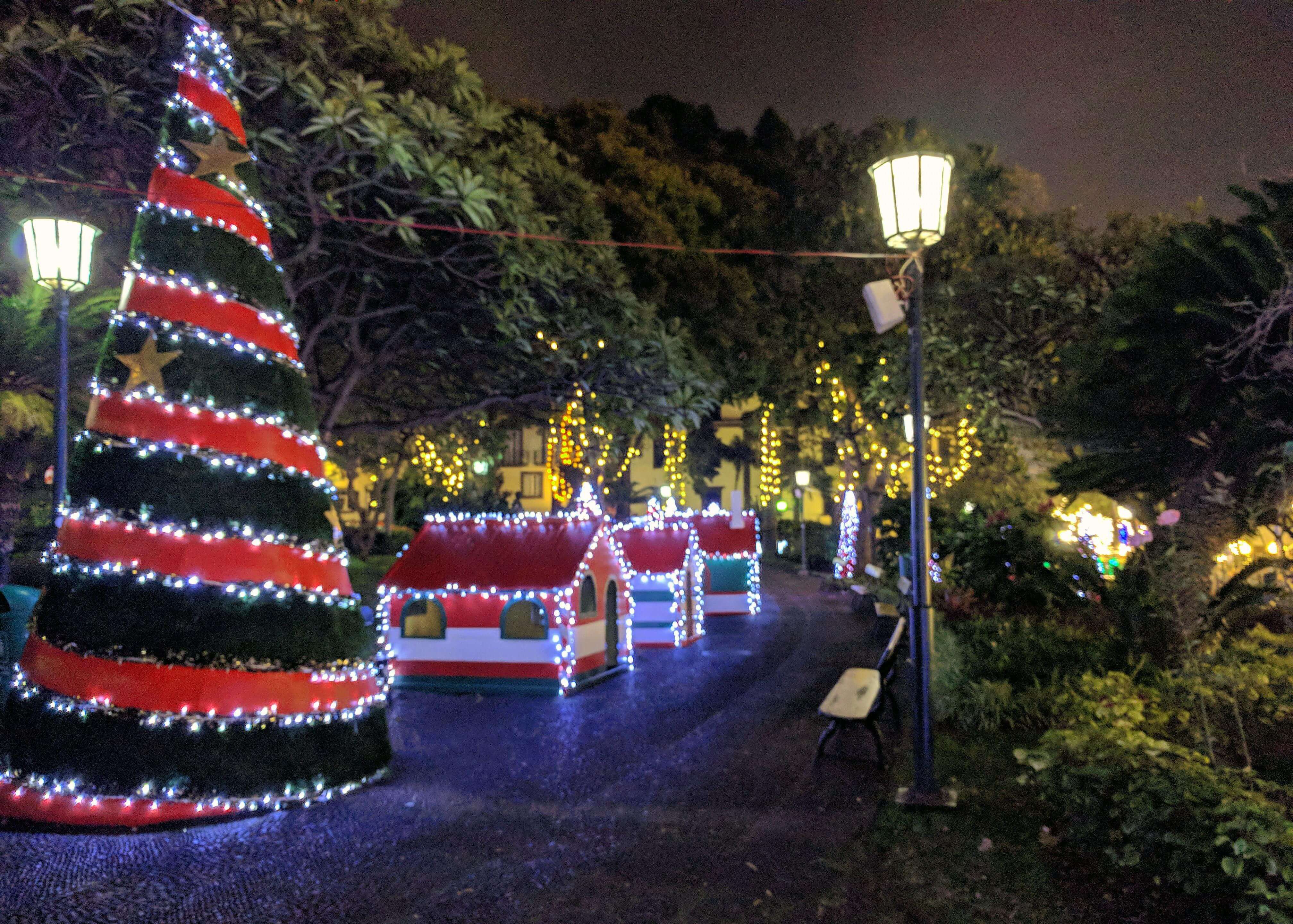Madeira Christmas
