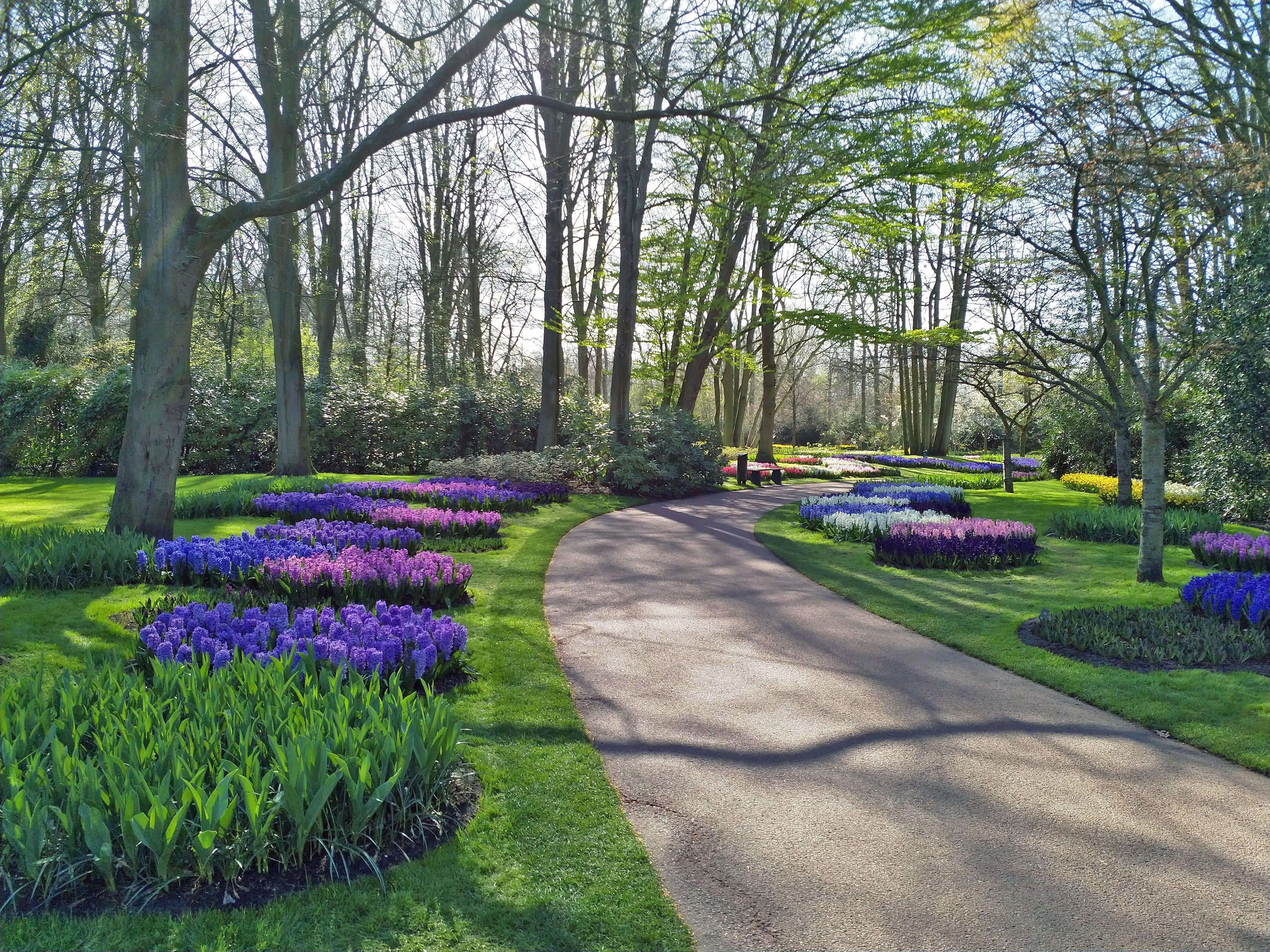 Flevoland Tulip Gardens