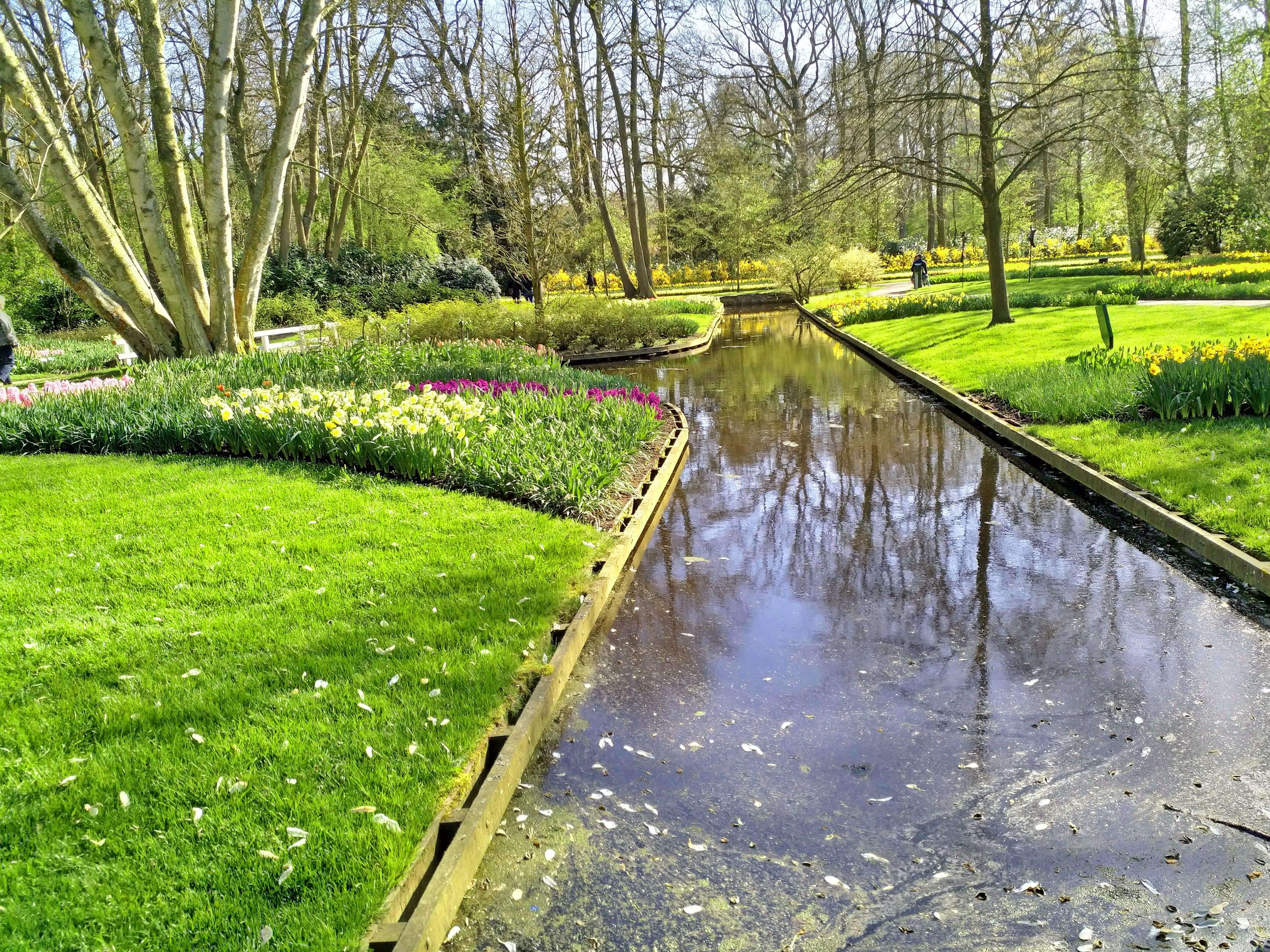 Flevoland Gardens