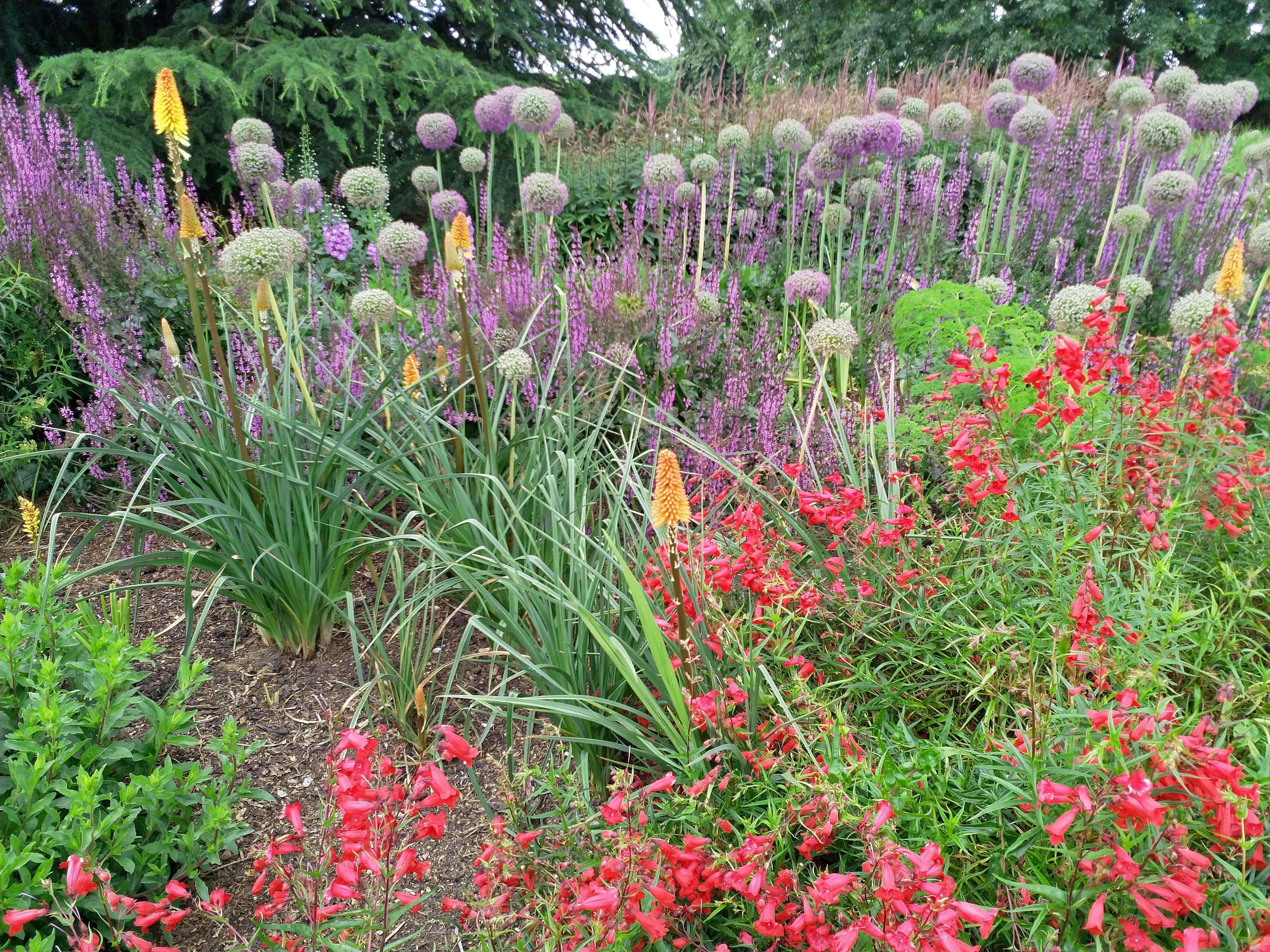 Colourful Garden