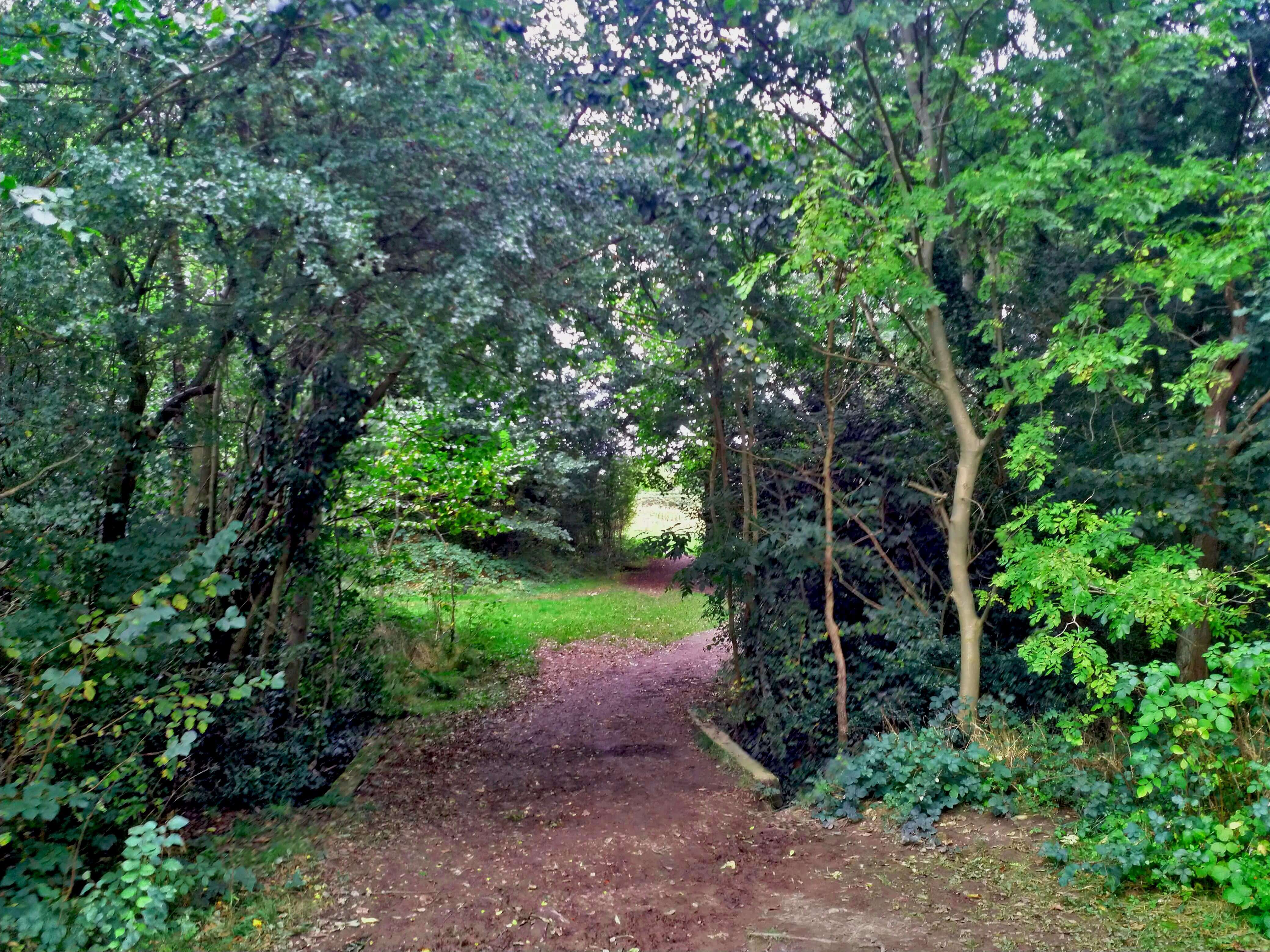 King George's Fields