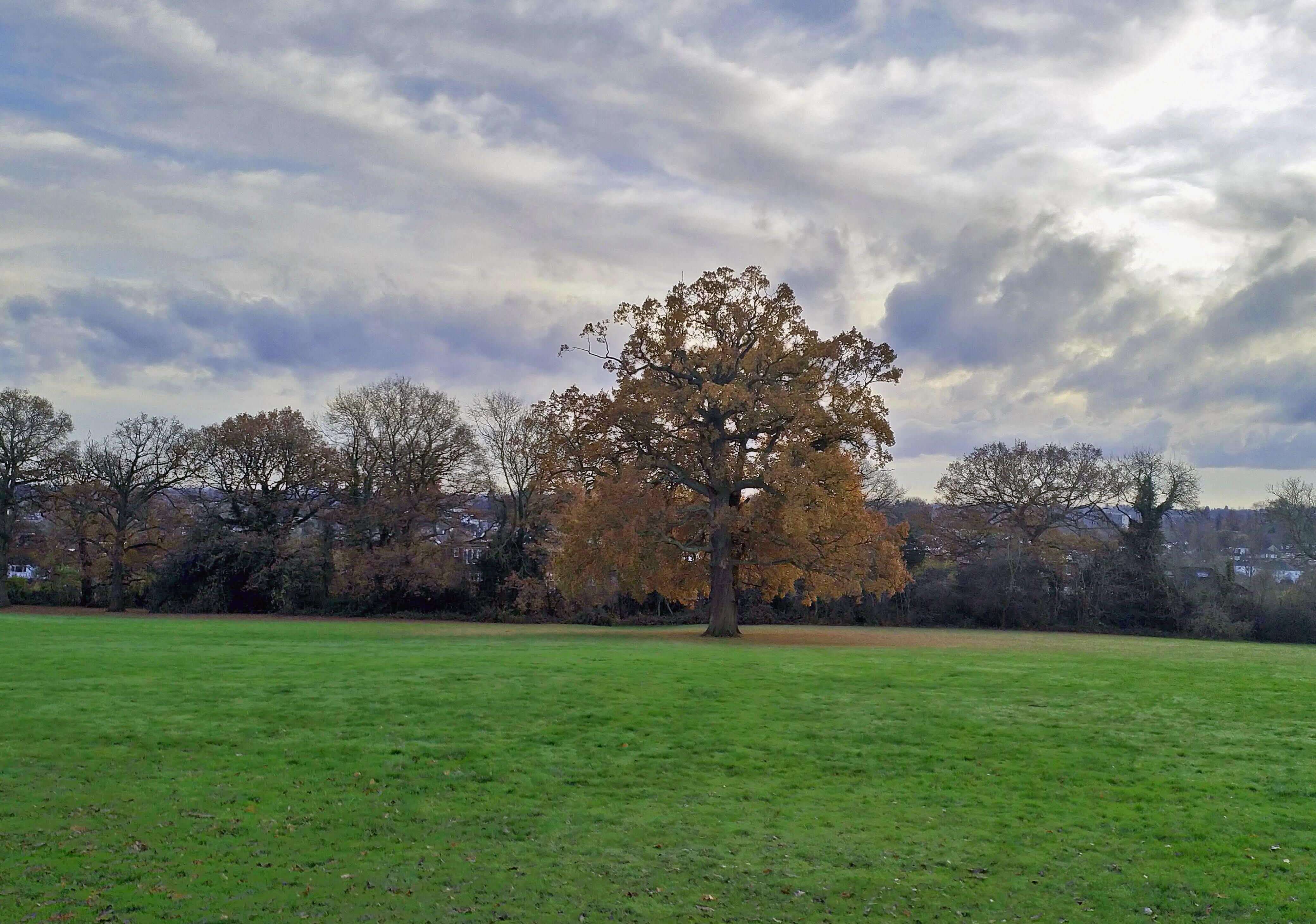 Artistic cloud formations