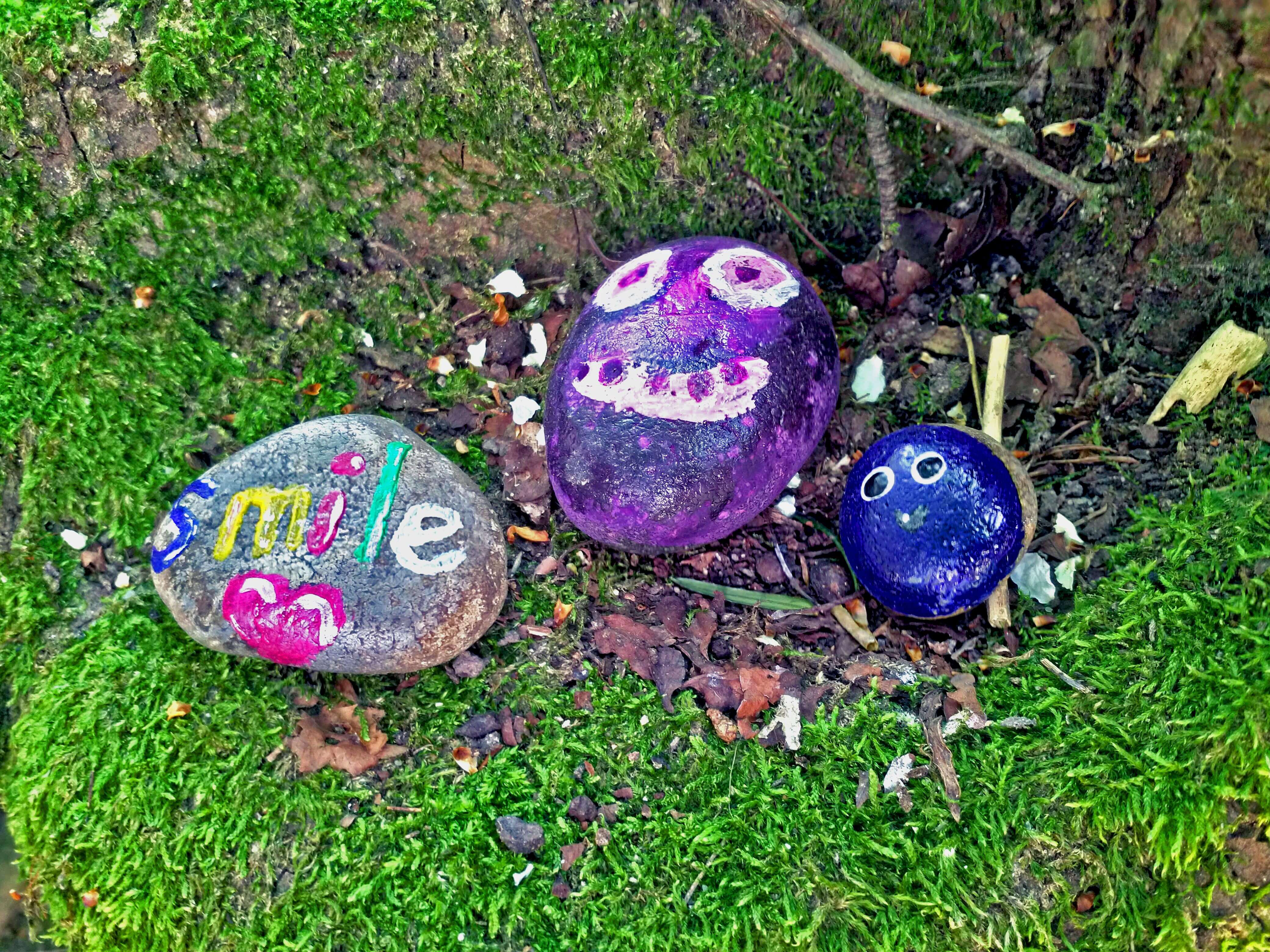 Stones in the woods