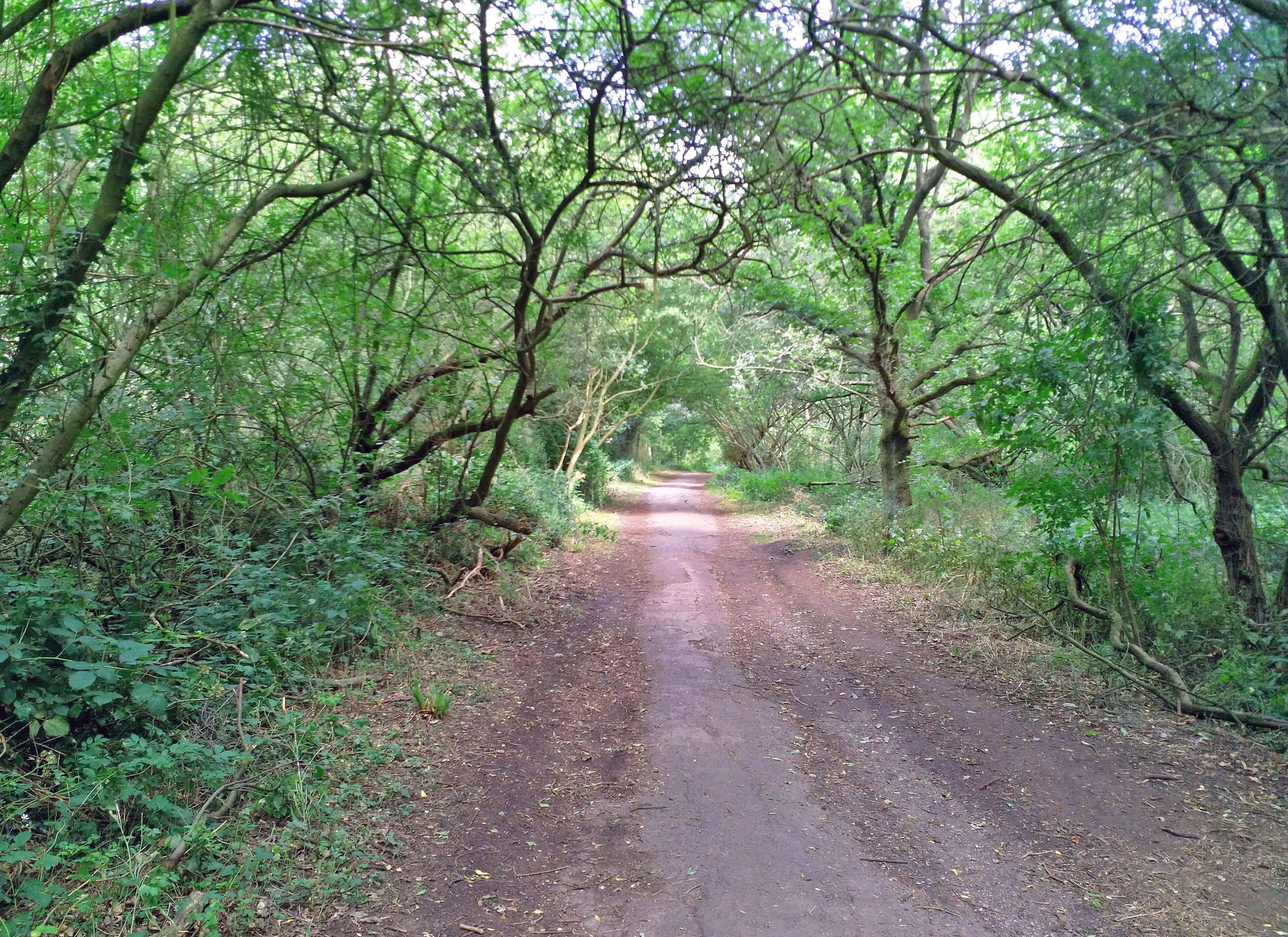 Jake's Lake Footpath