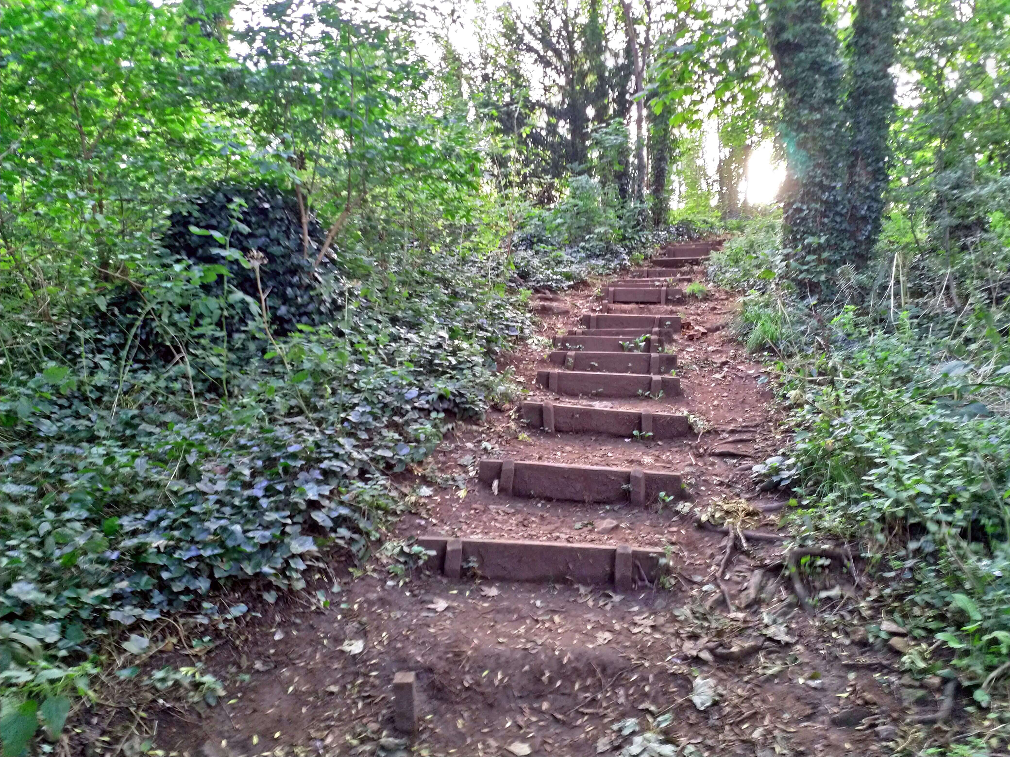Clevedon Nature Reserve