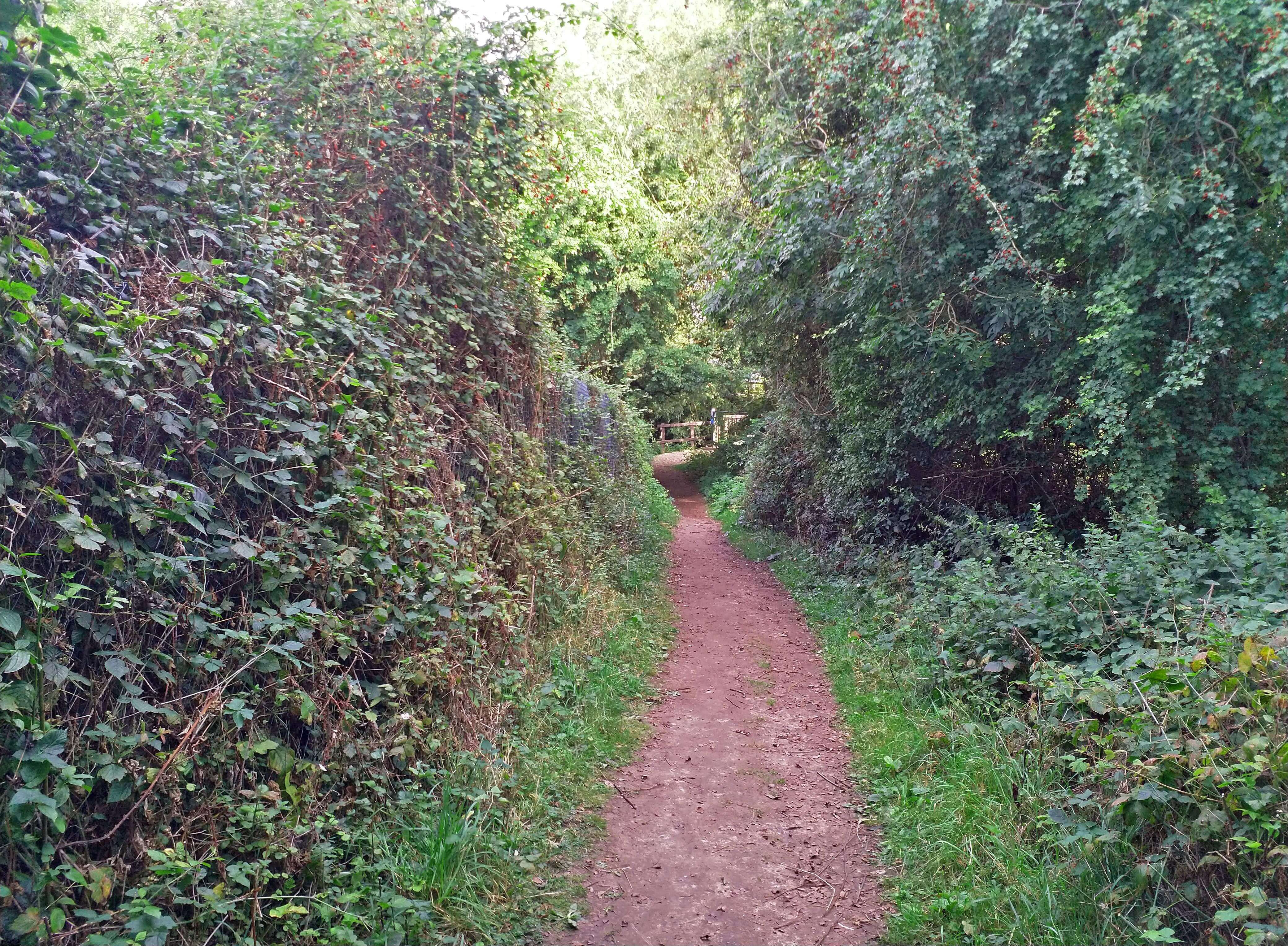 Exploring Cirencester