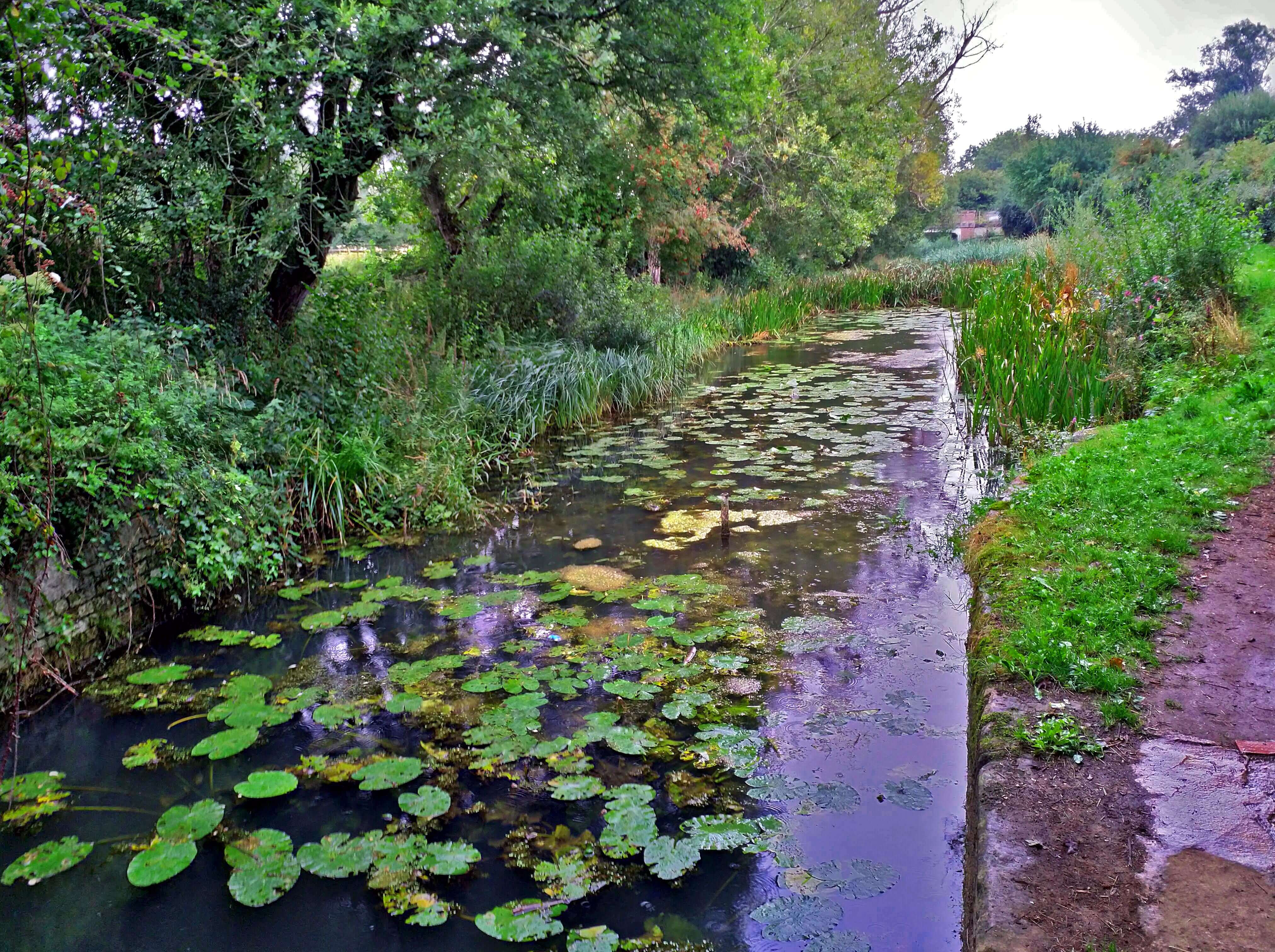Nature in the Cotswolds