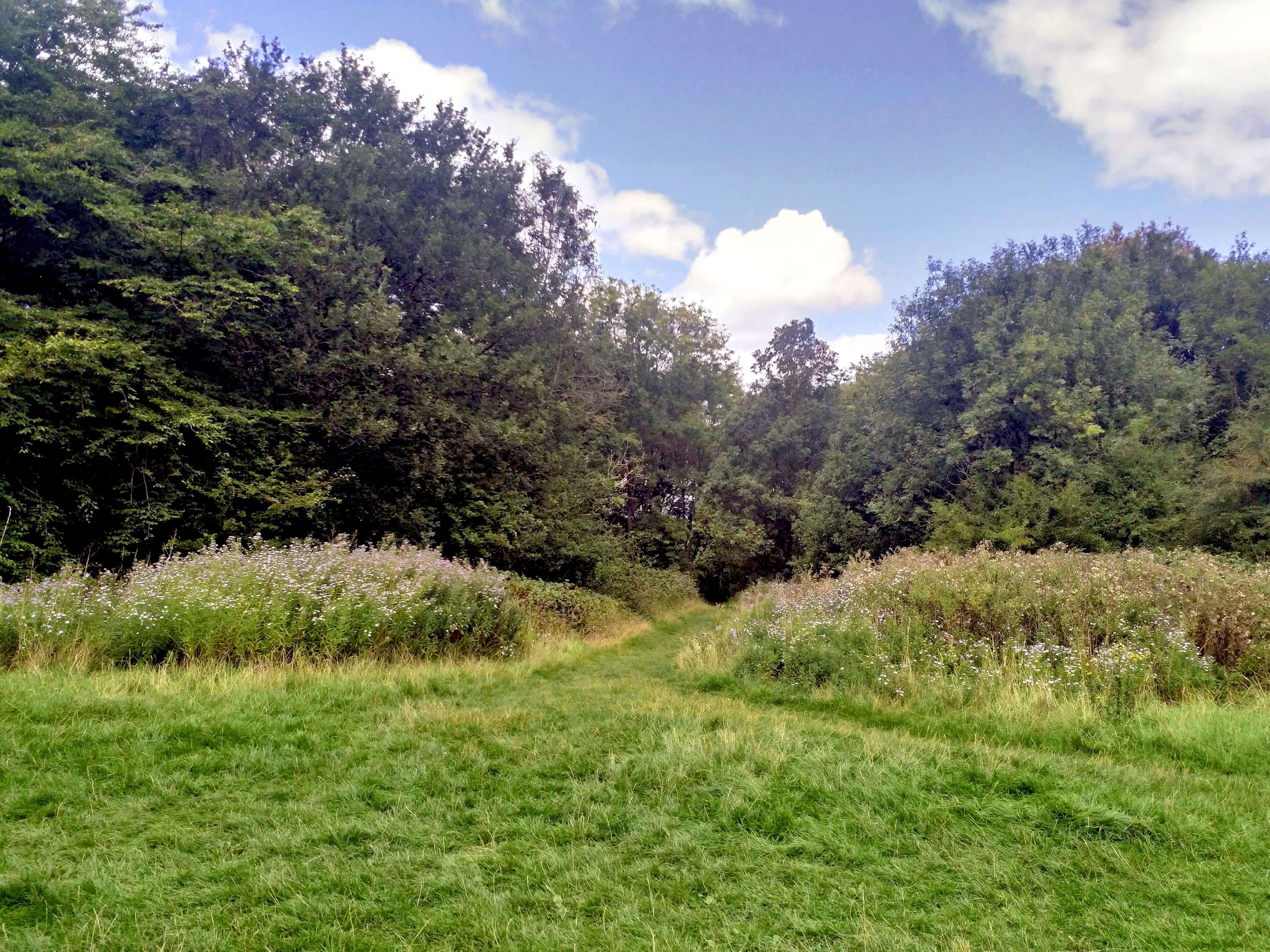 Covert Way Local Nature Reserve