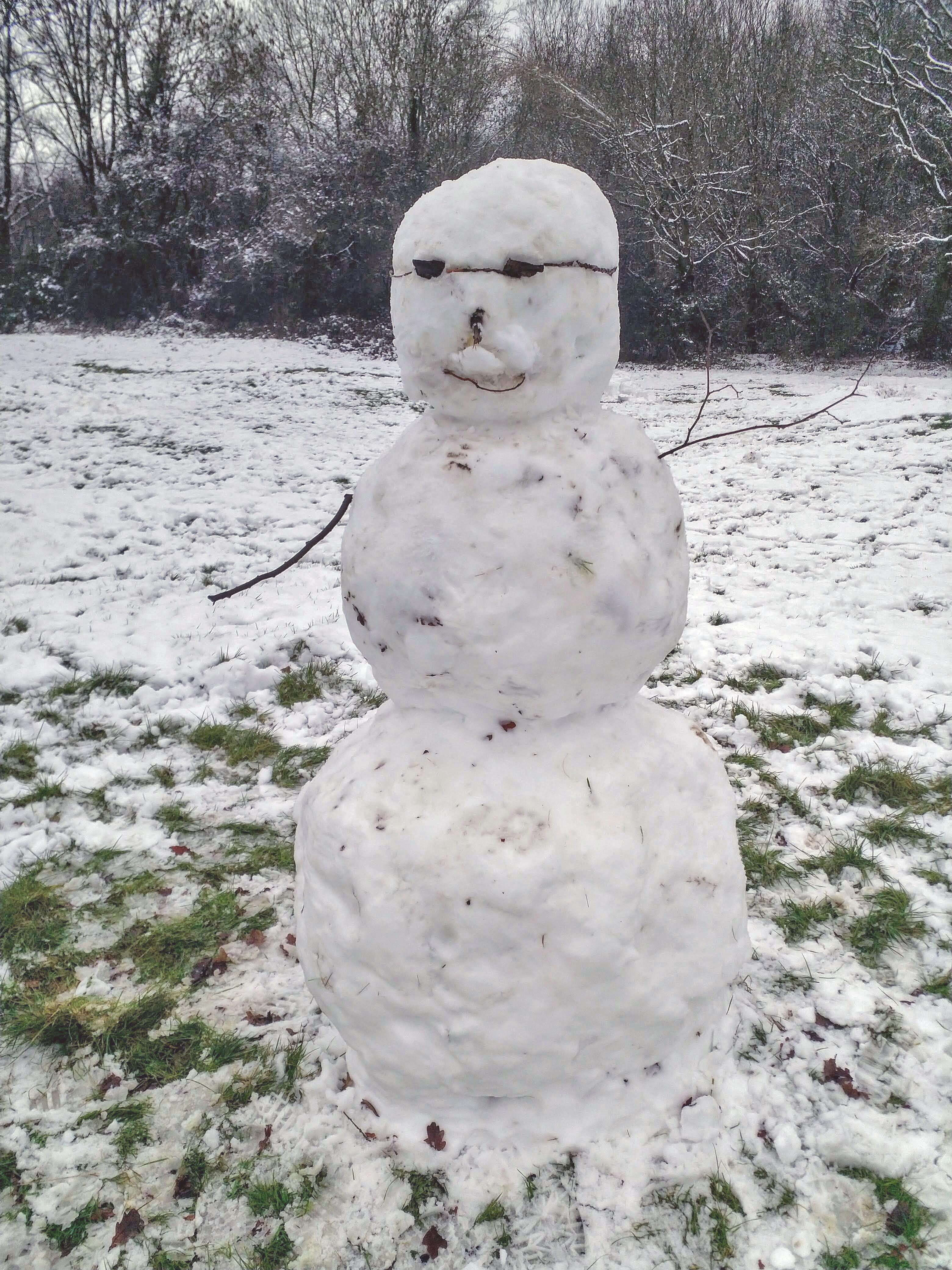 Friendly snowman
