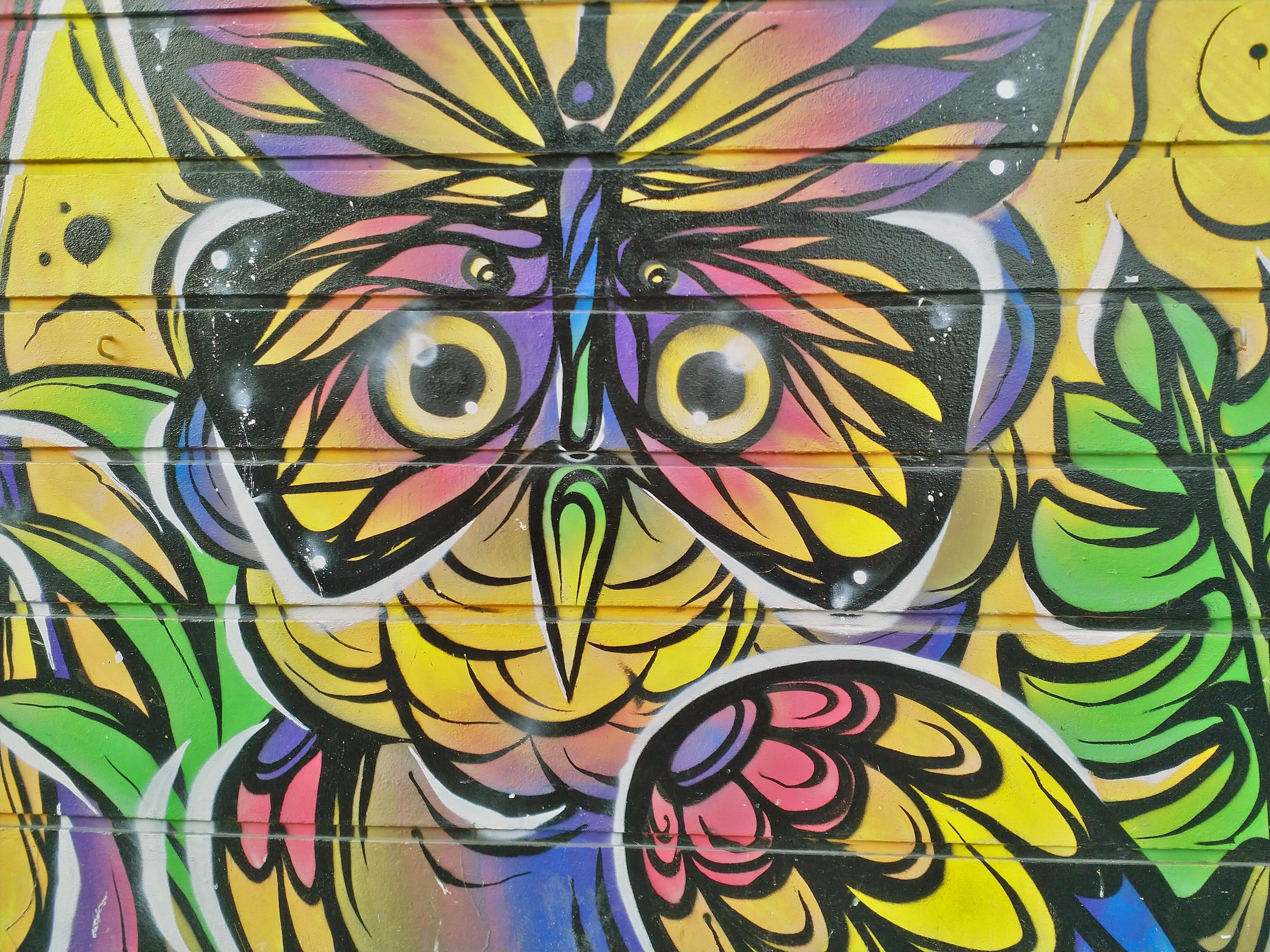Funky Owl