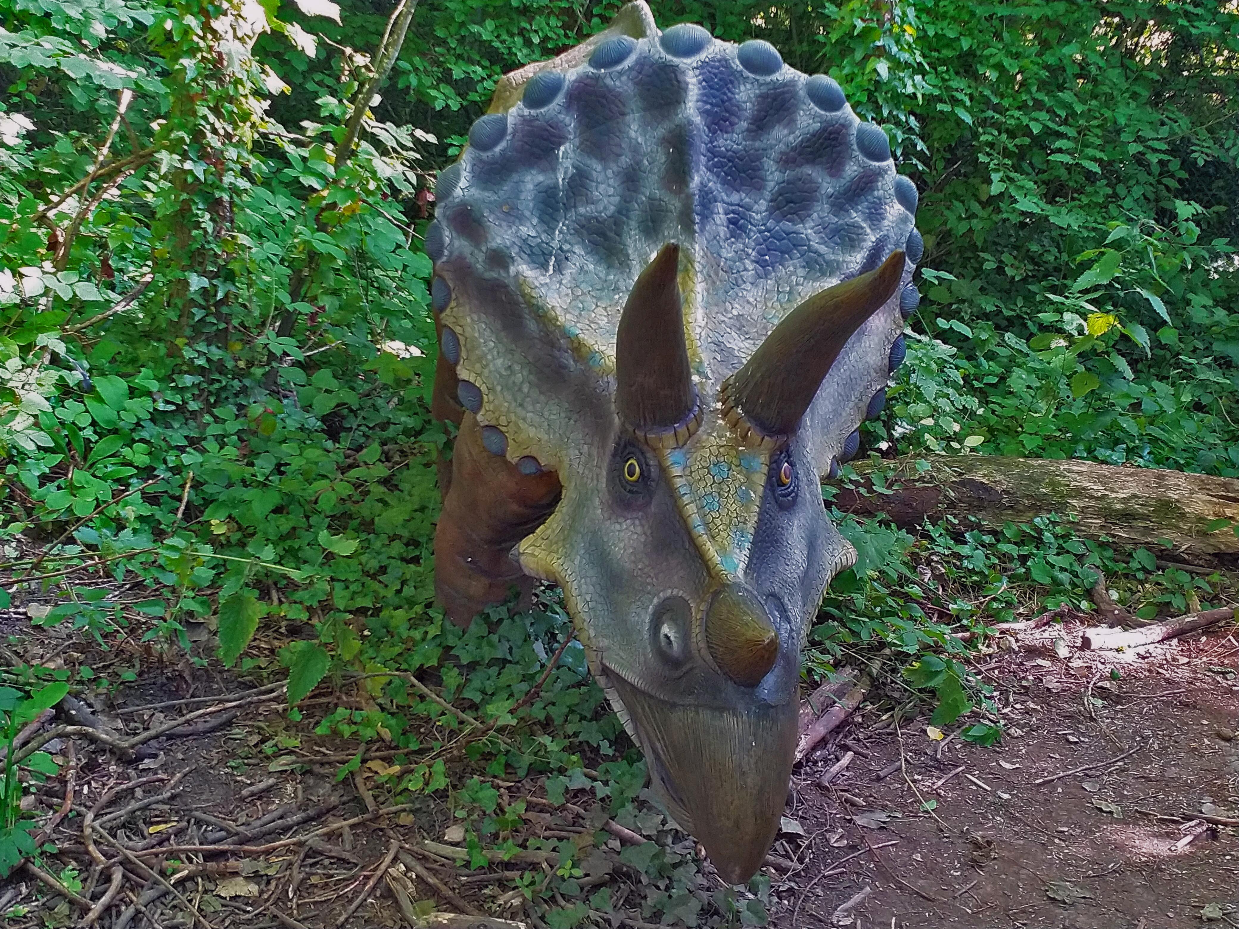 Funky Triceratops