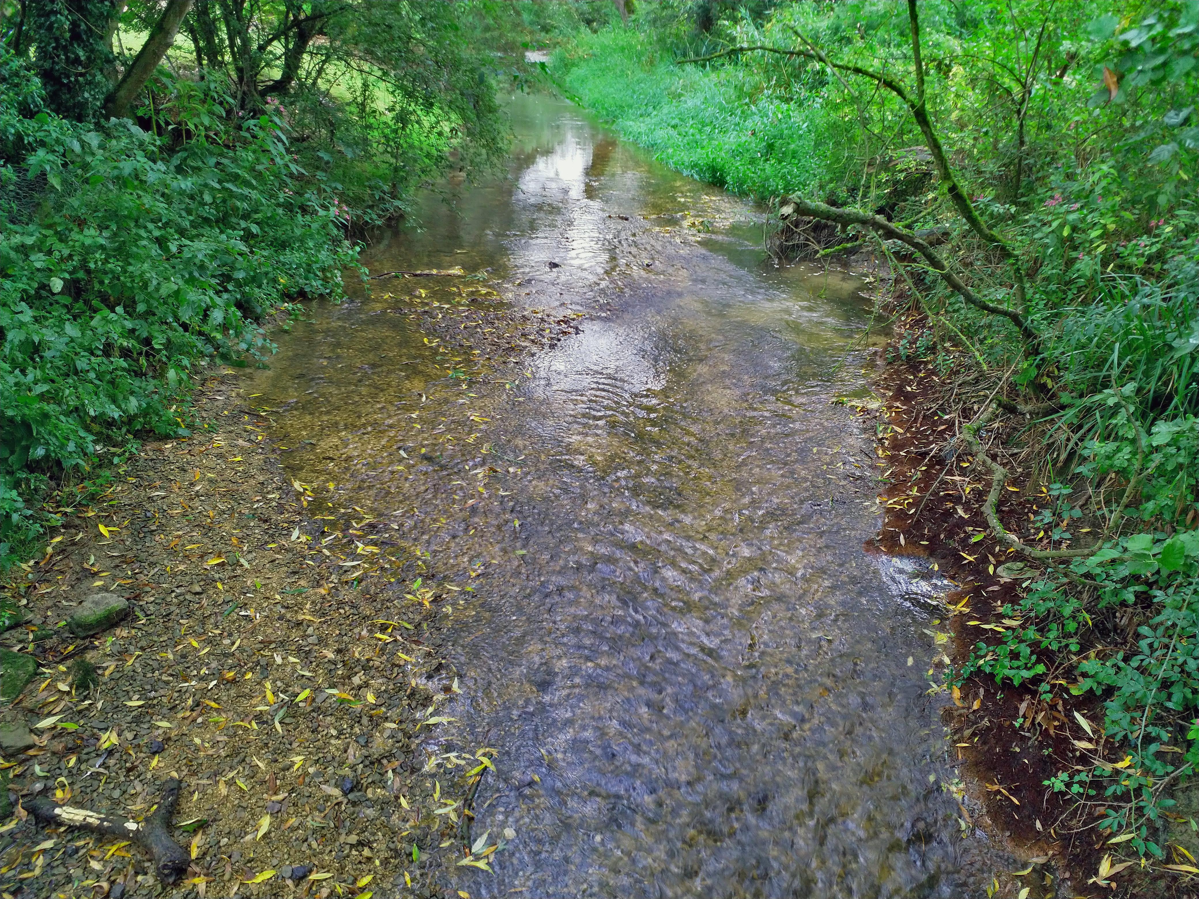Clear Stream