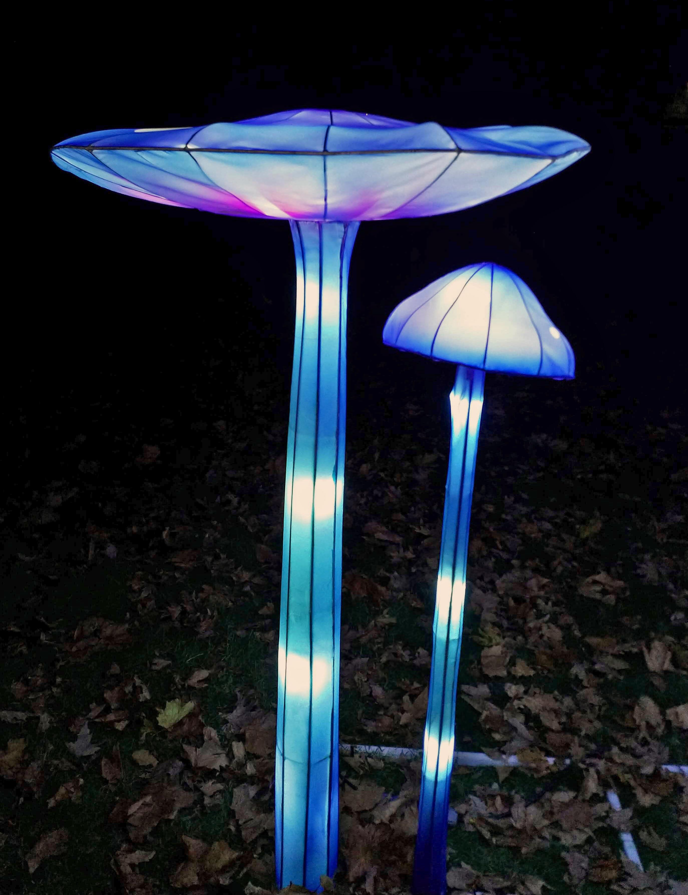 Lightopia Mushrooms 