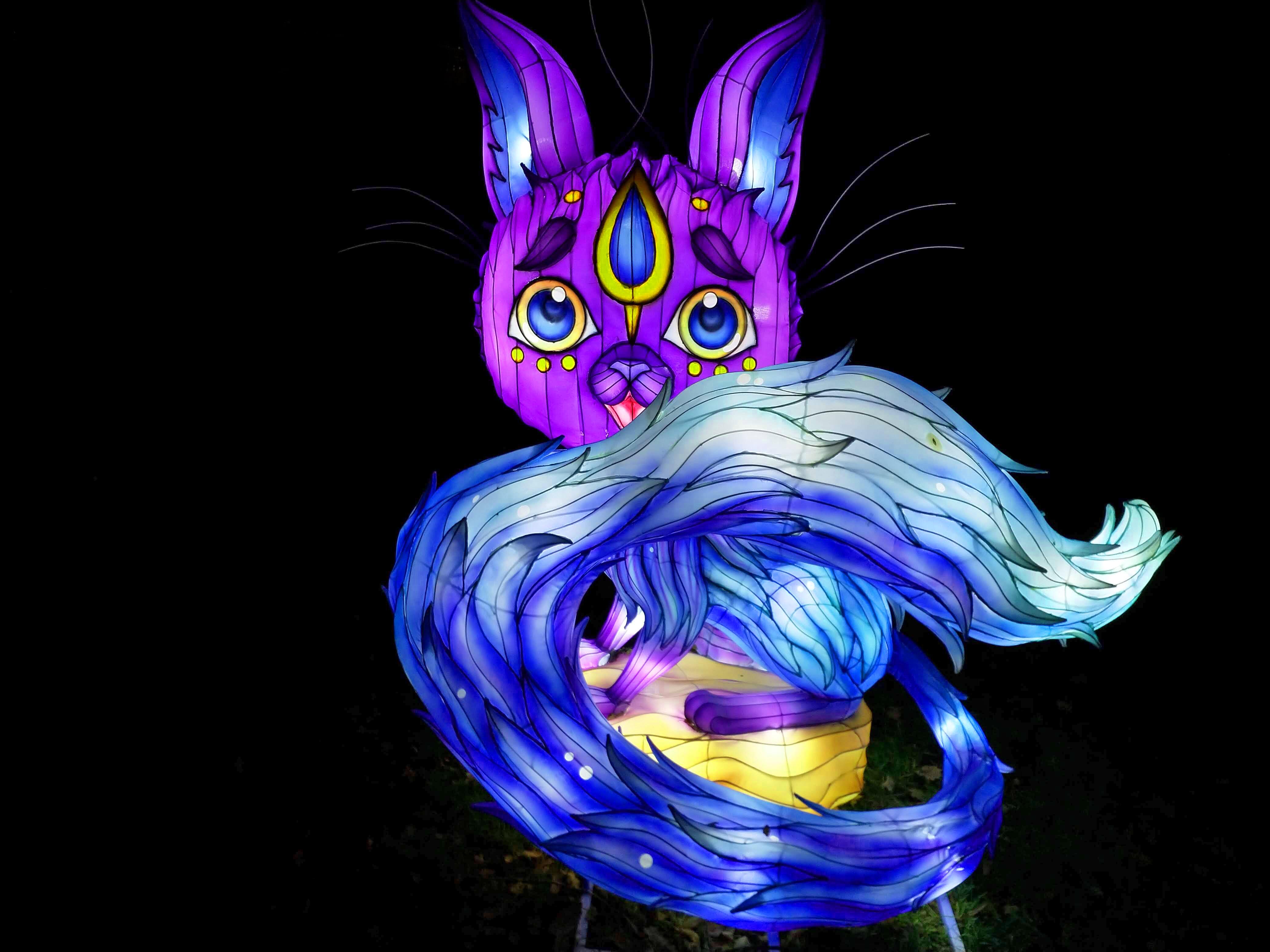 Lightopia Cat