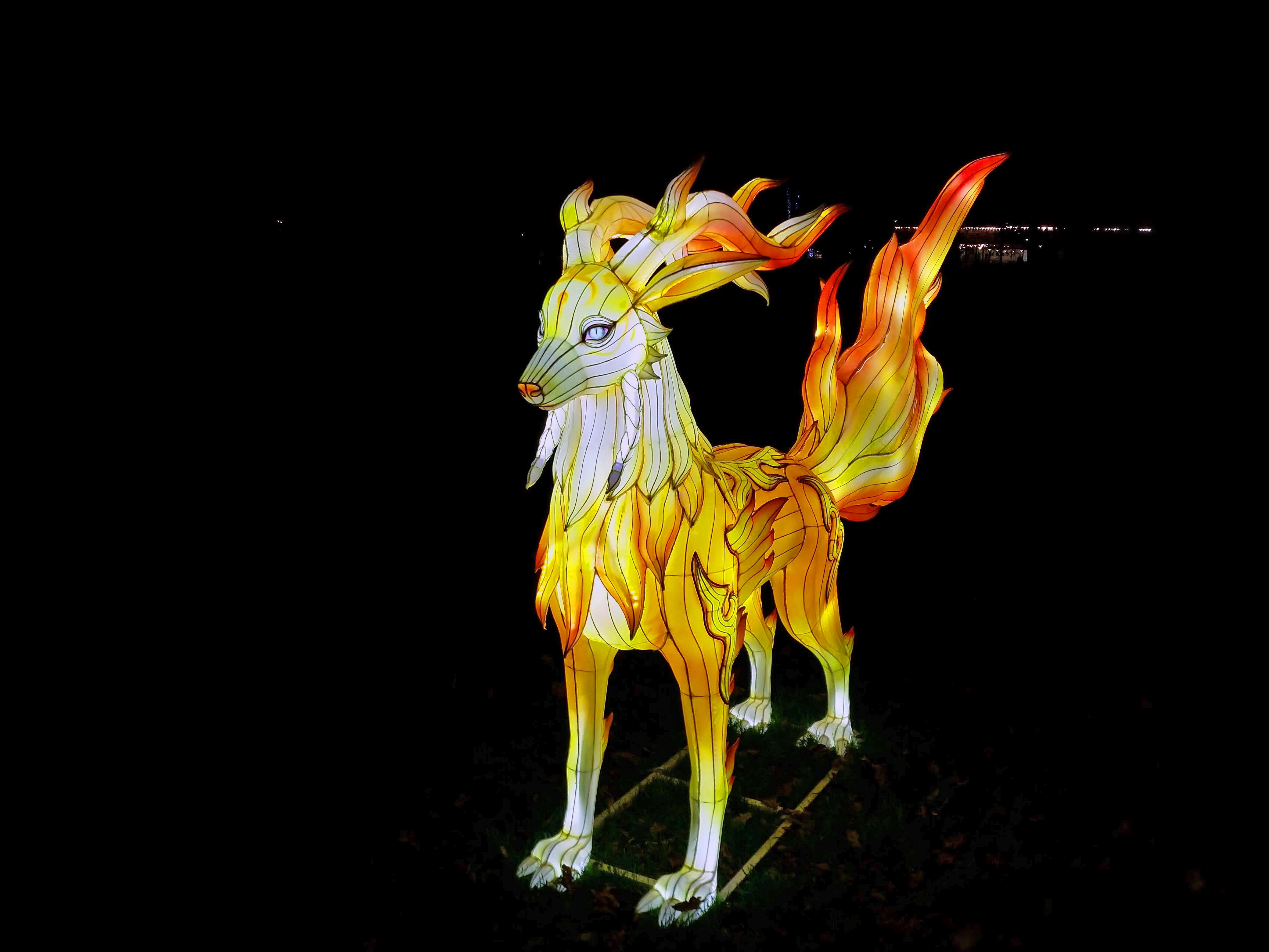 Flame Dog