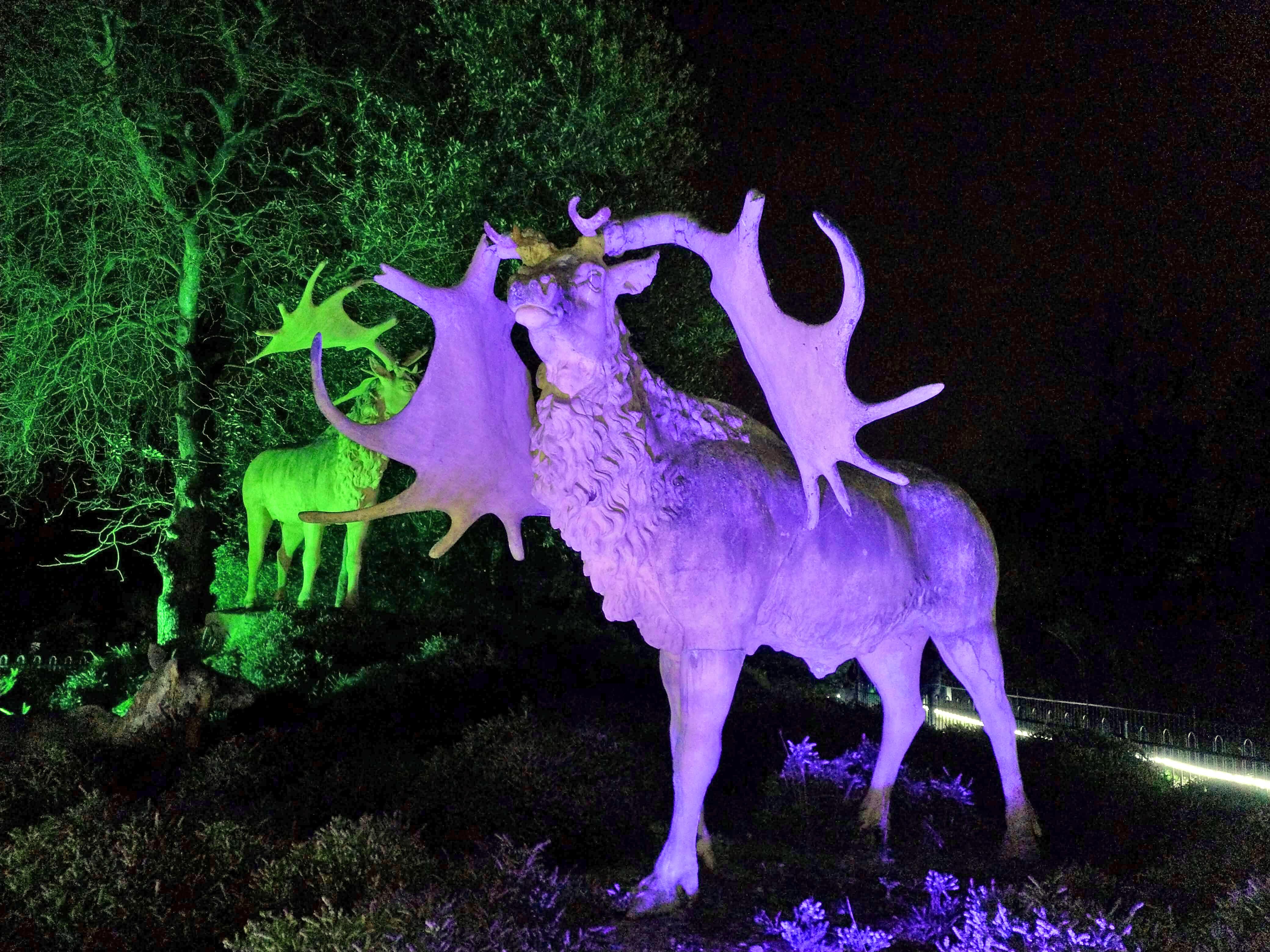 Stags at Lightopia