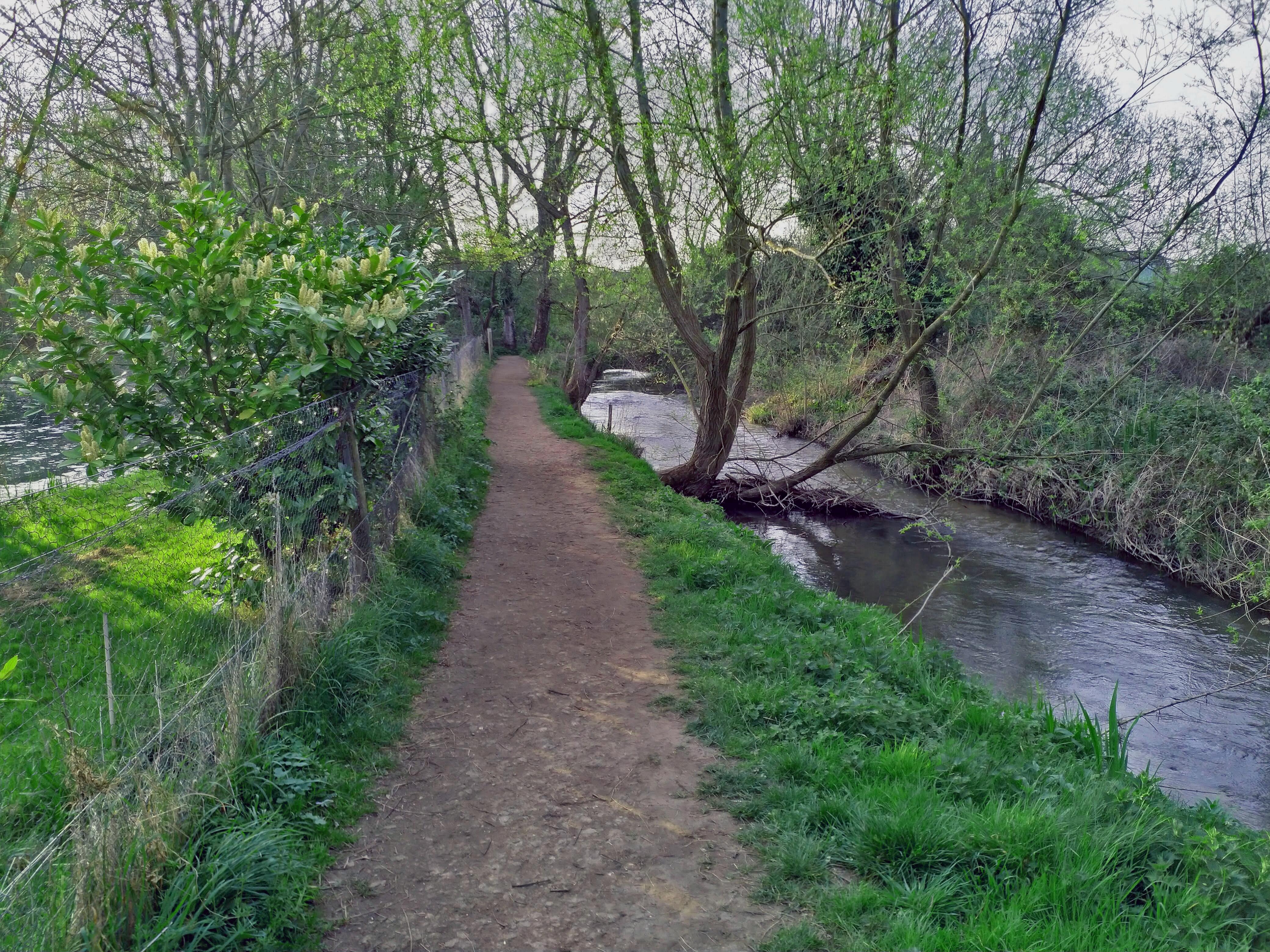 Footpath along the river