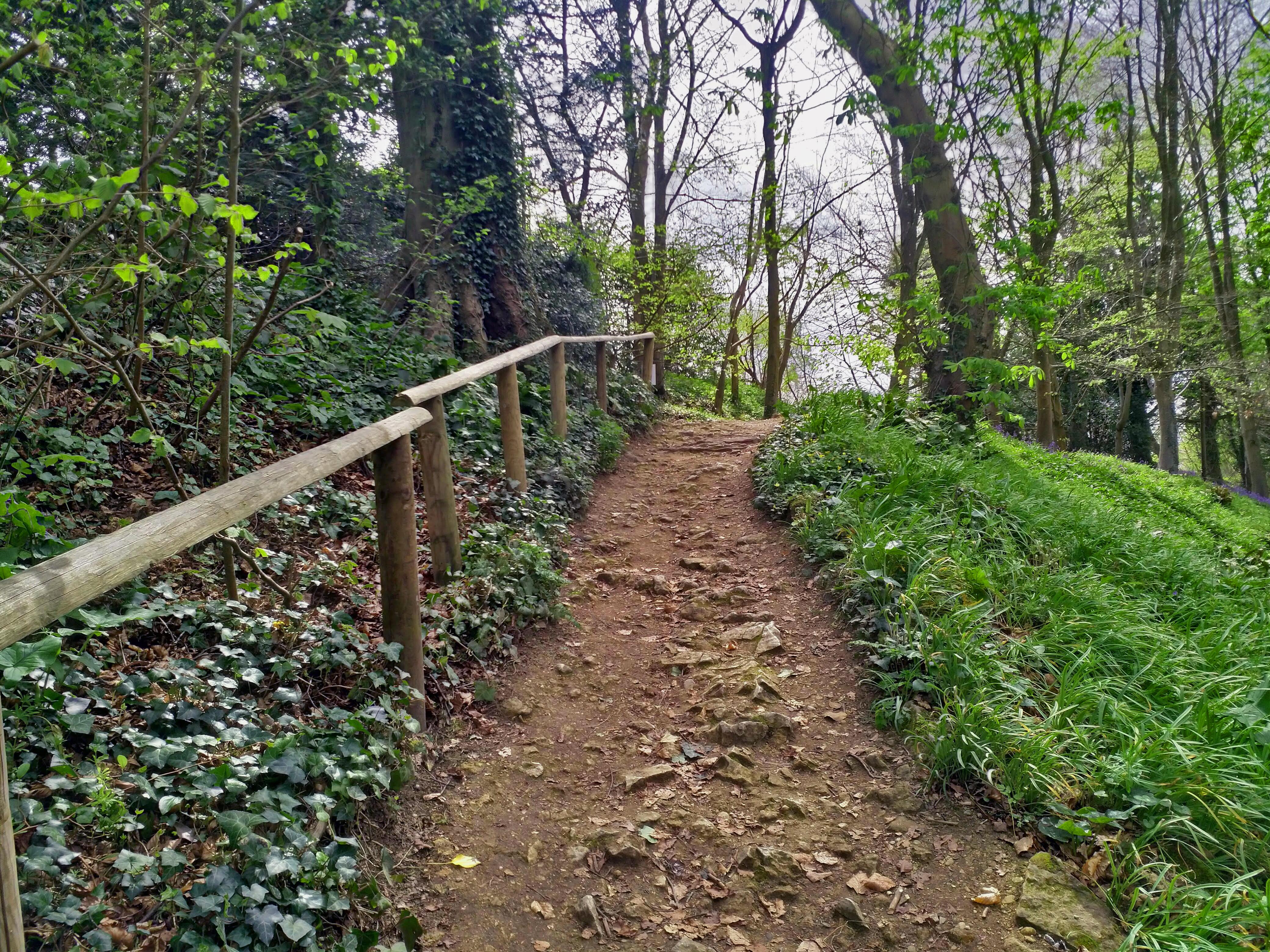 Footpath in the Gardens