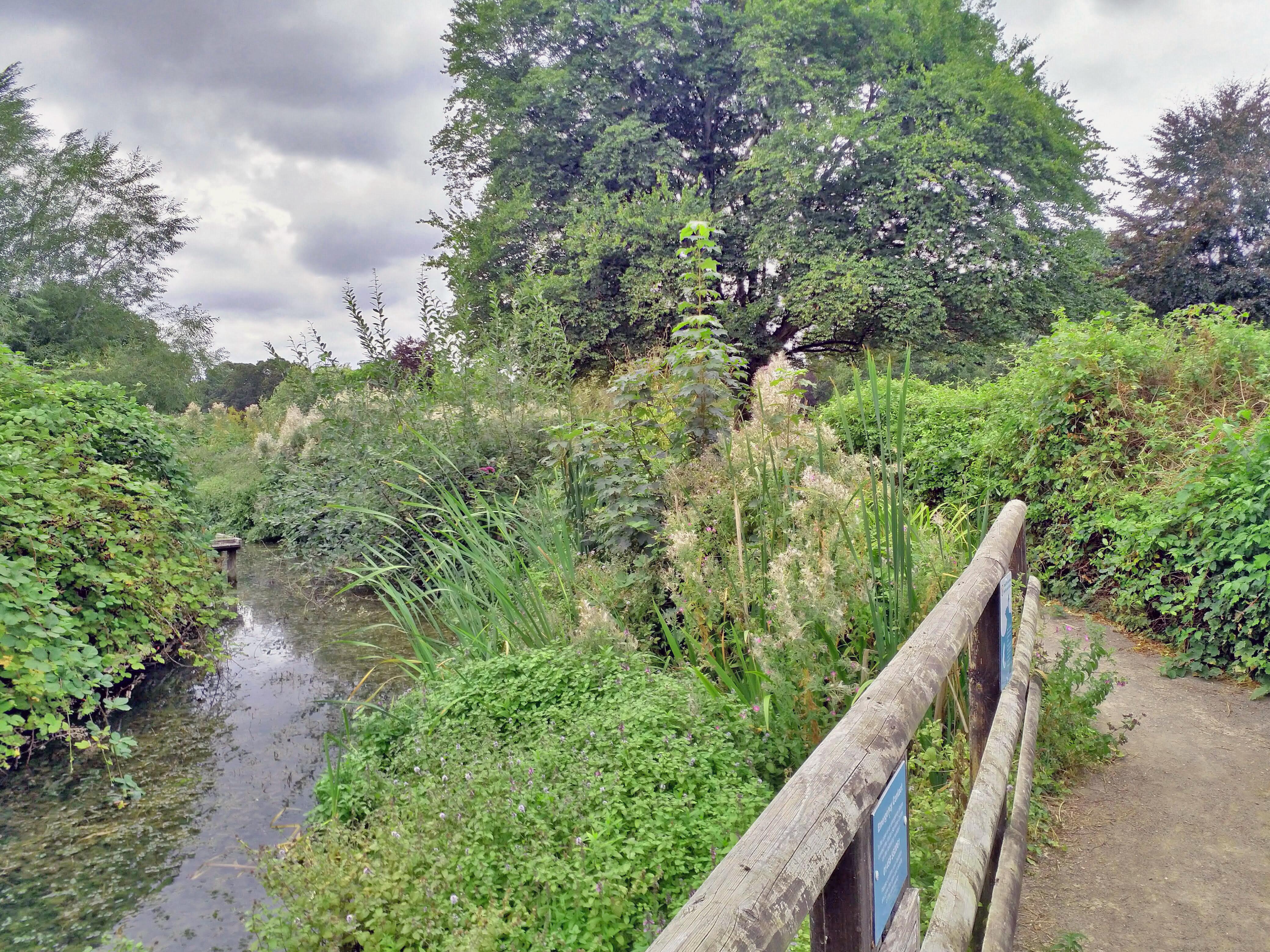 Walking along the path