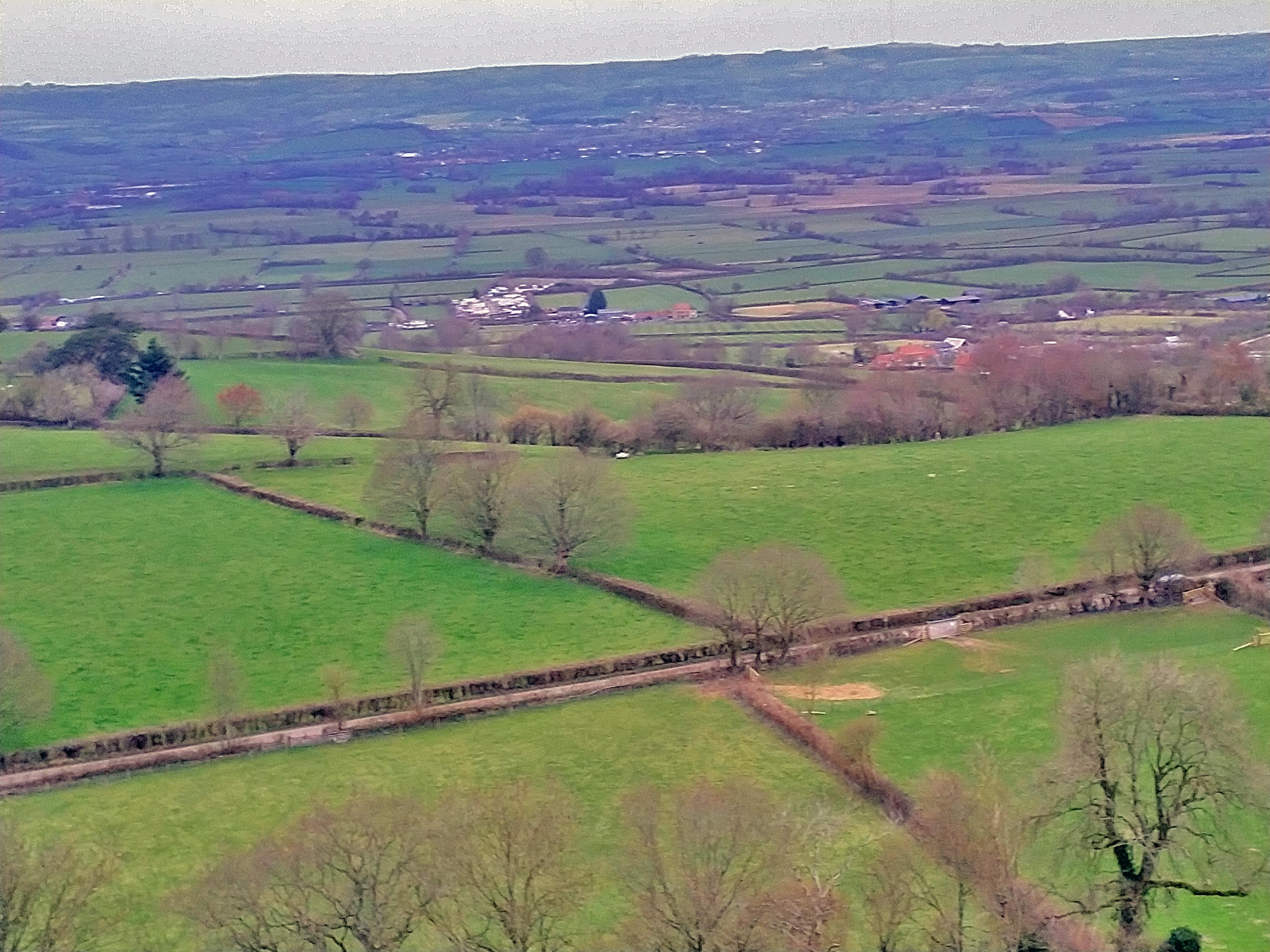 Fields of Glastonbury