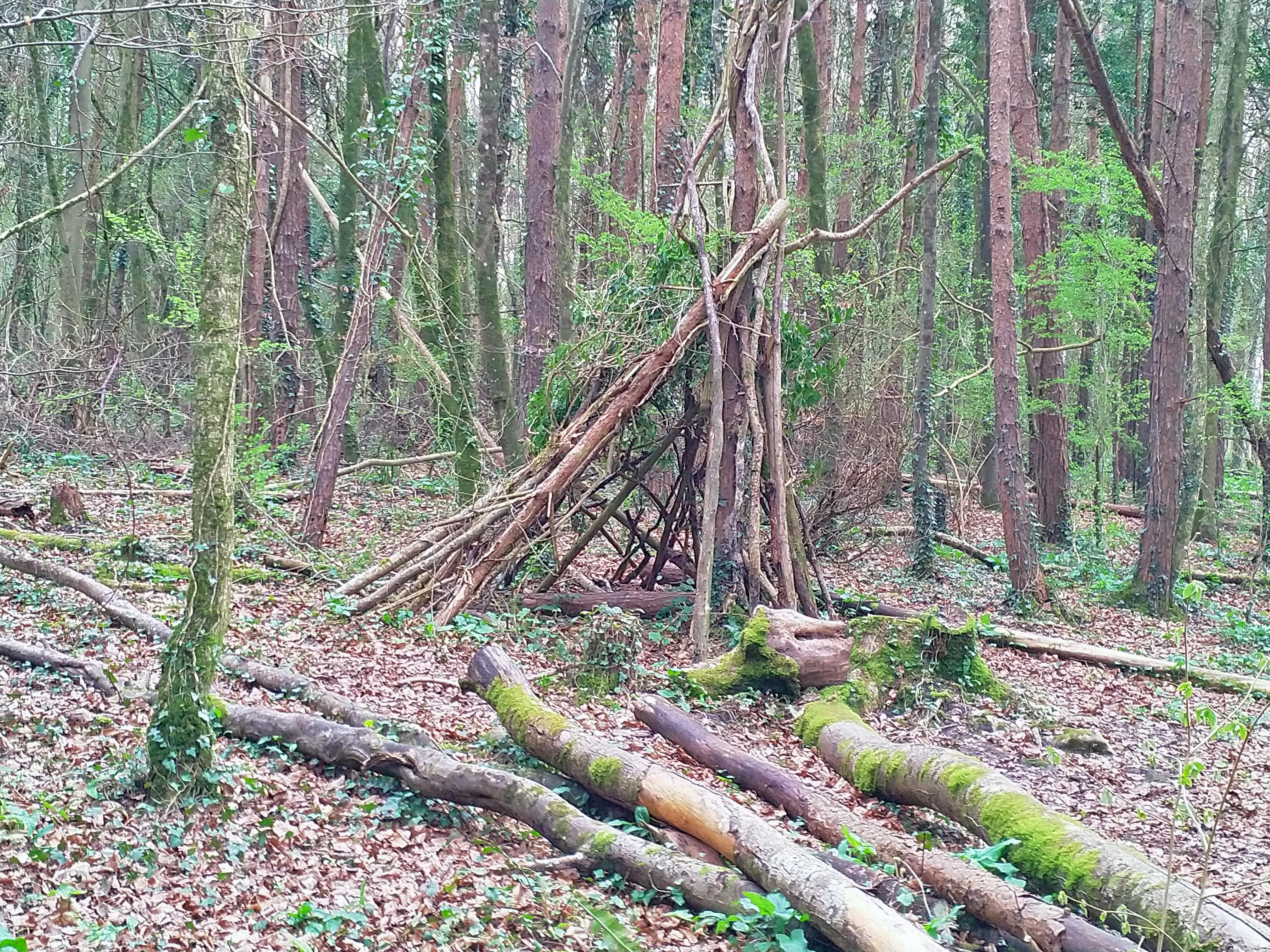 Shelter in the woods