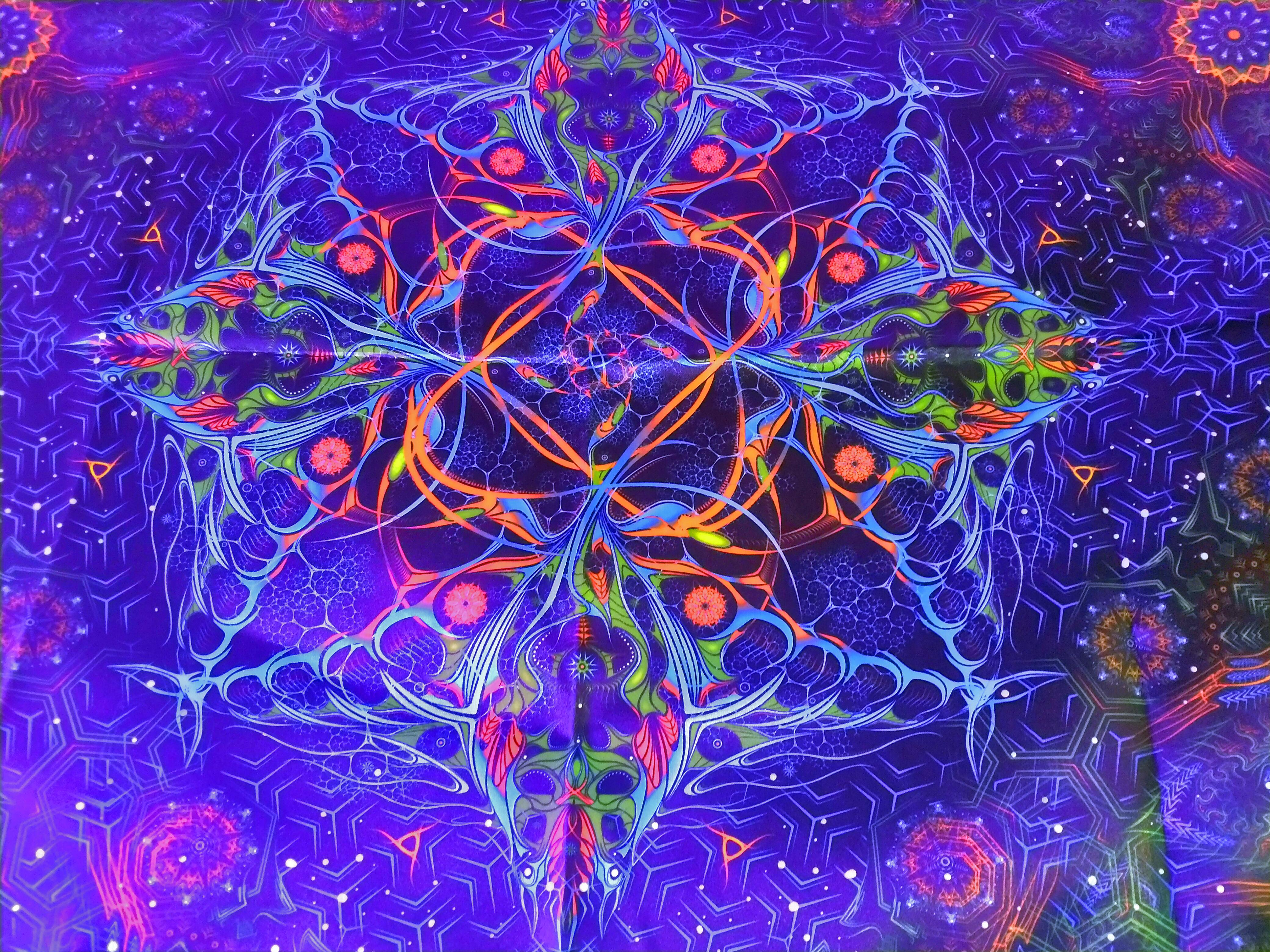 Electric Fractal