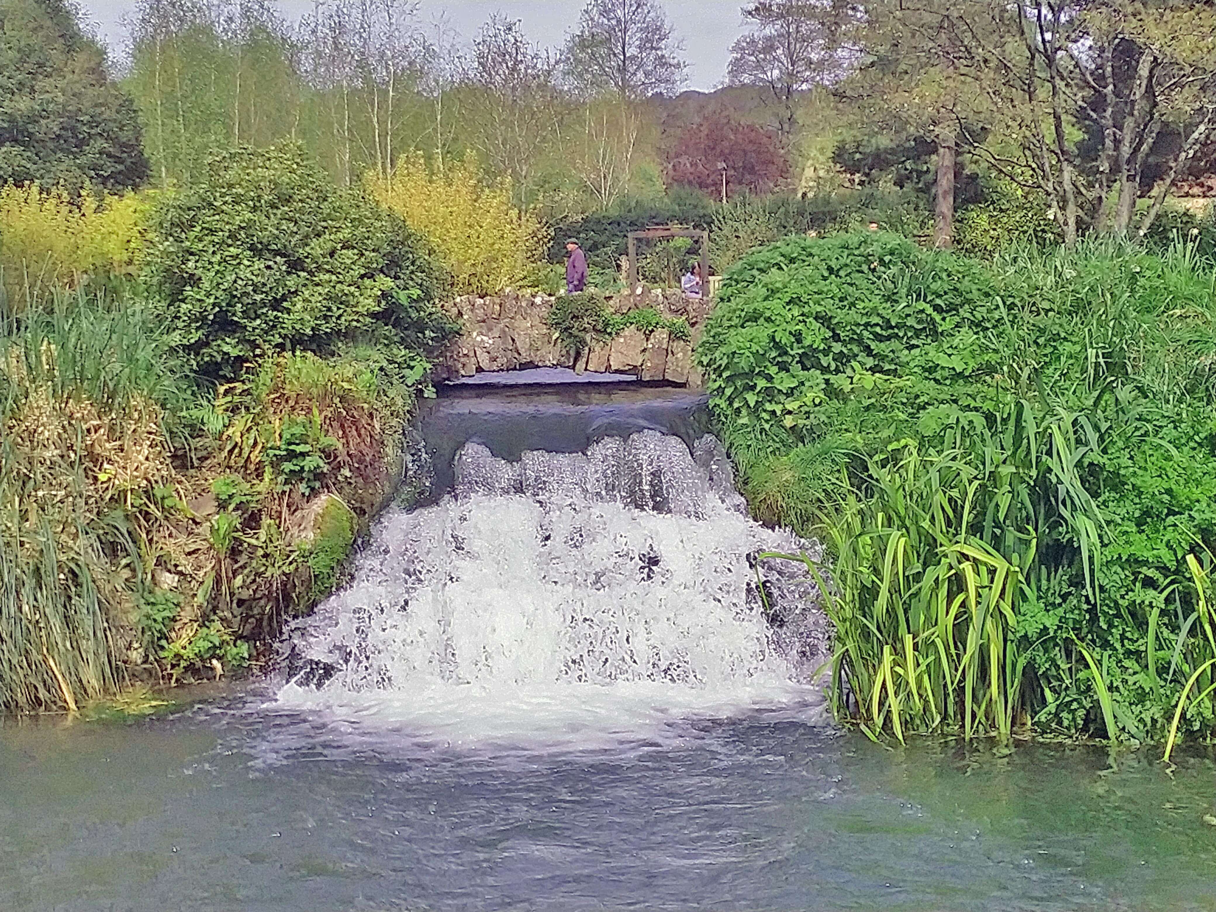 The Bishop's Palace Gardens