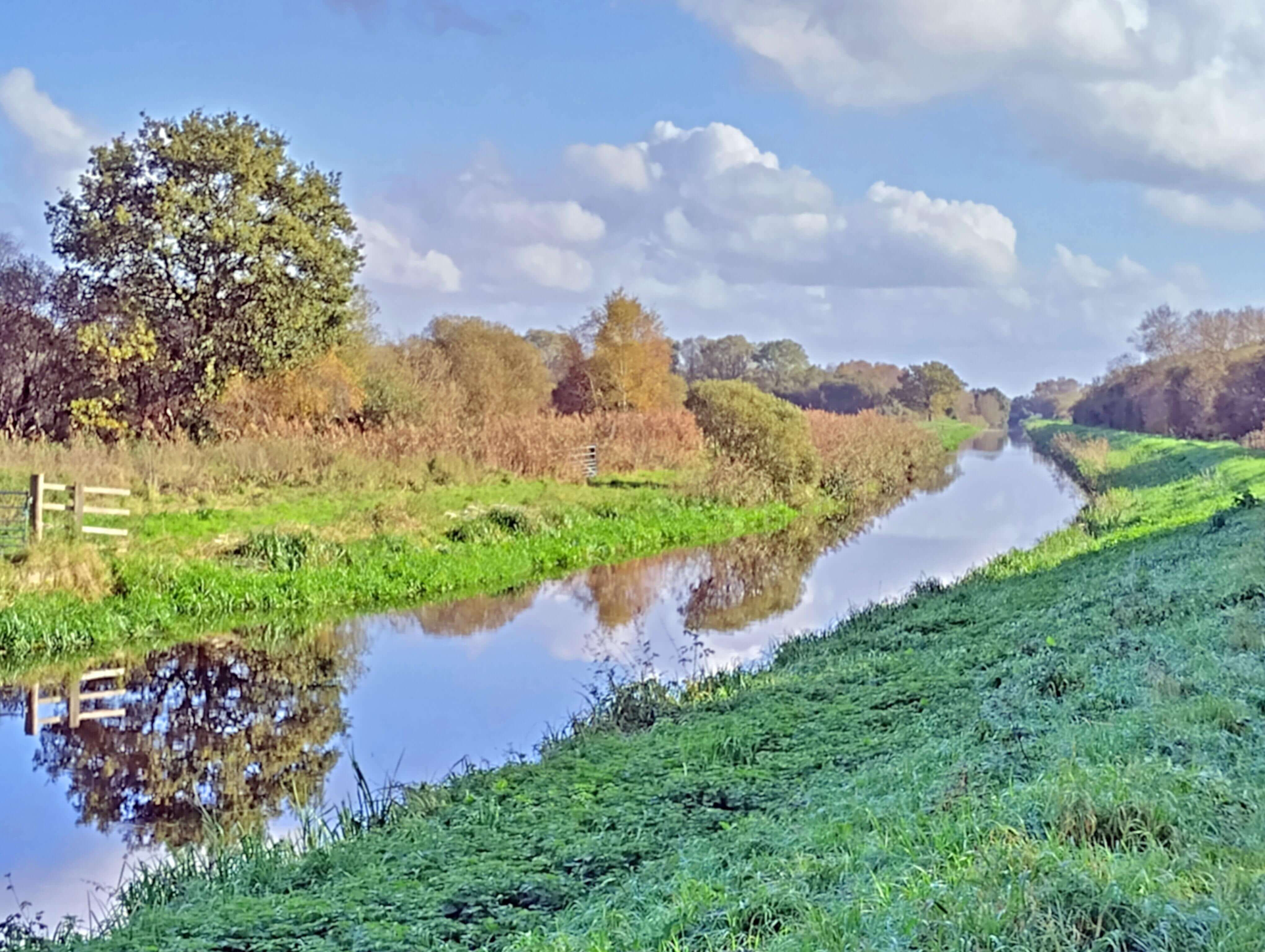Avalon Marshes Footpath