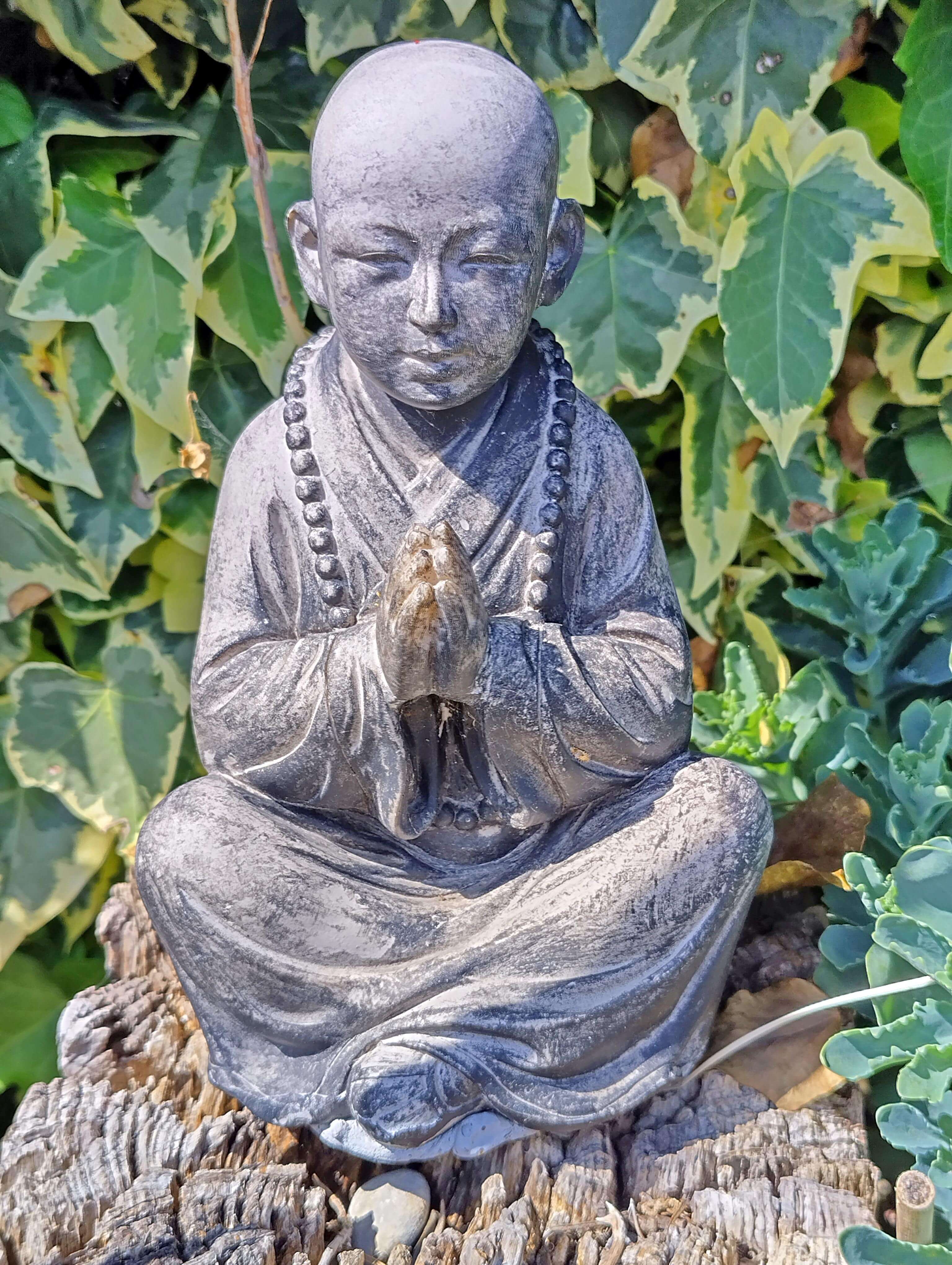 Meditating Buddha