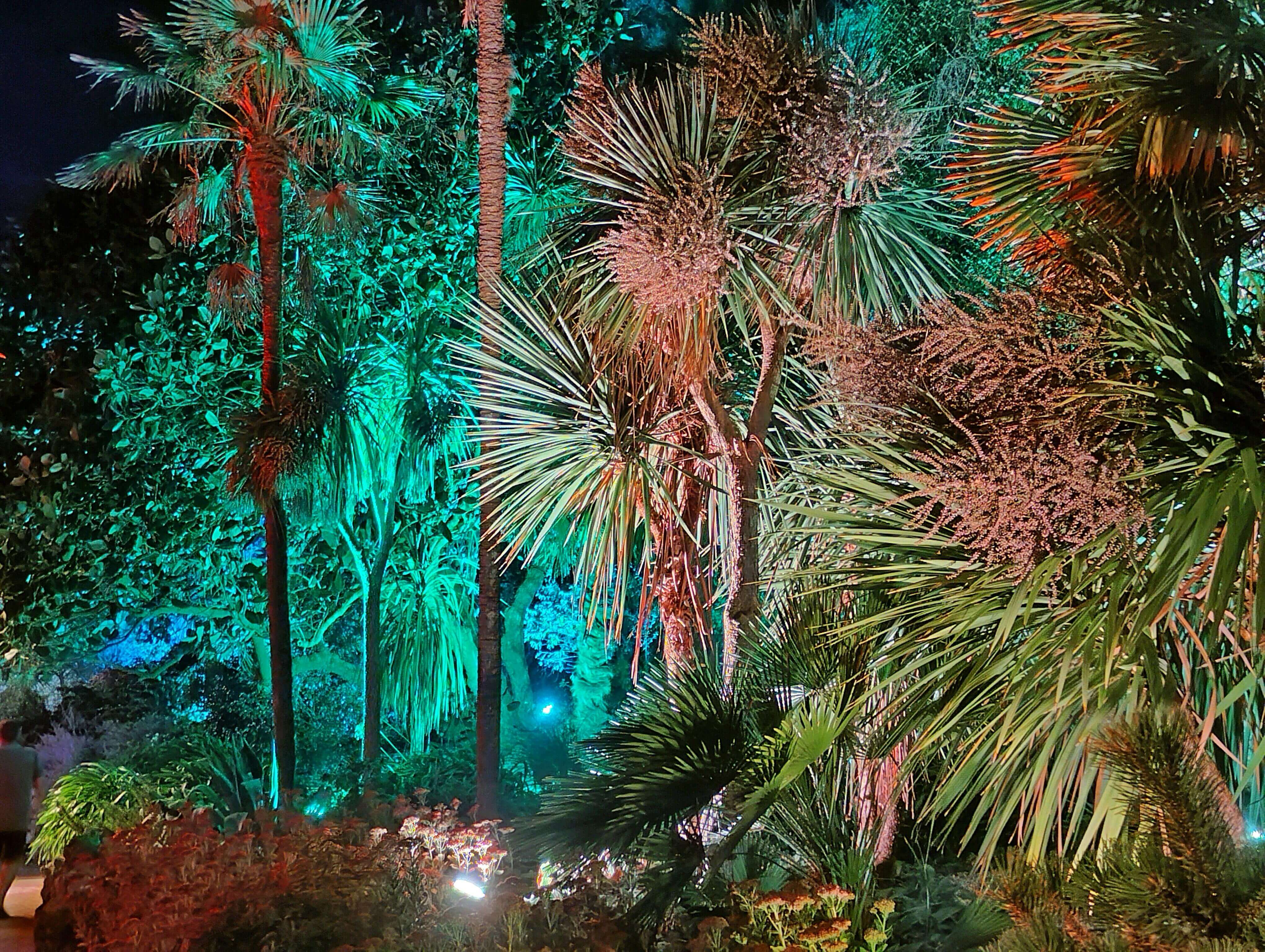 Night walk in Torquay