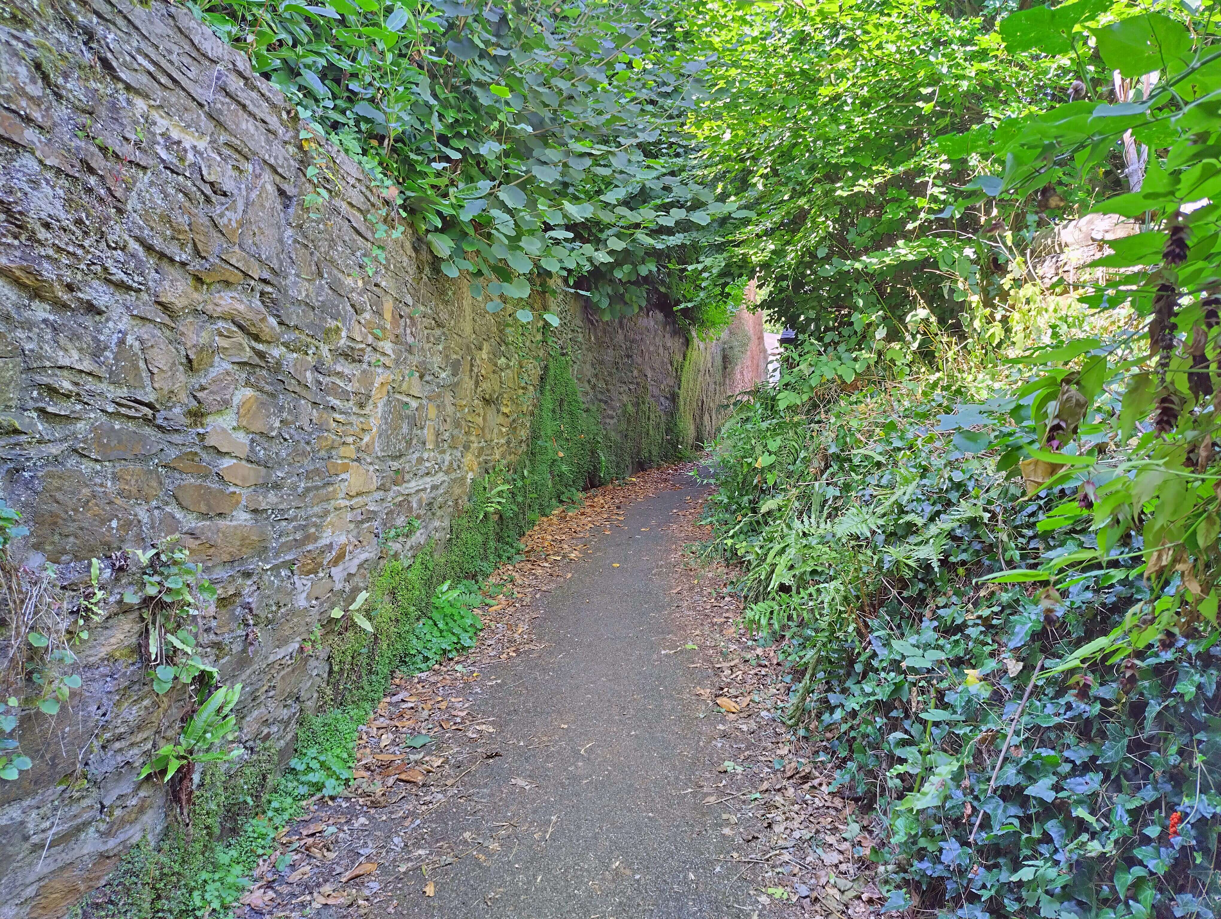 Totnes footpath
