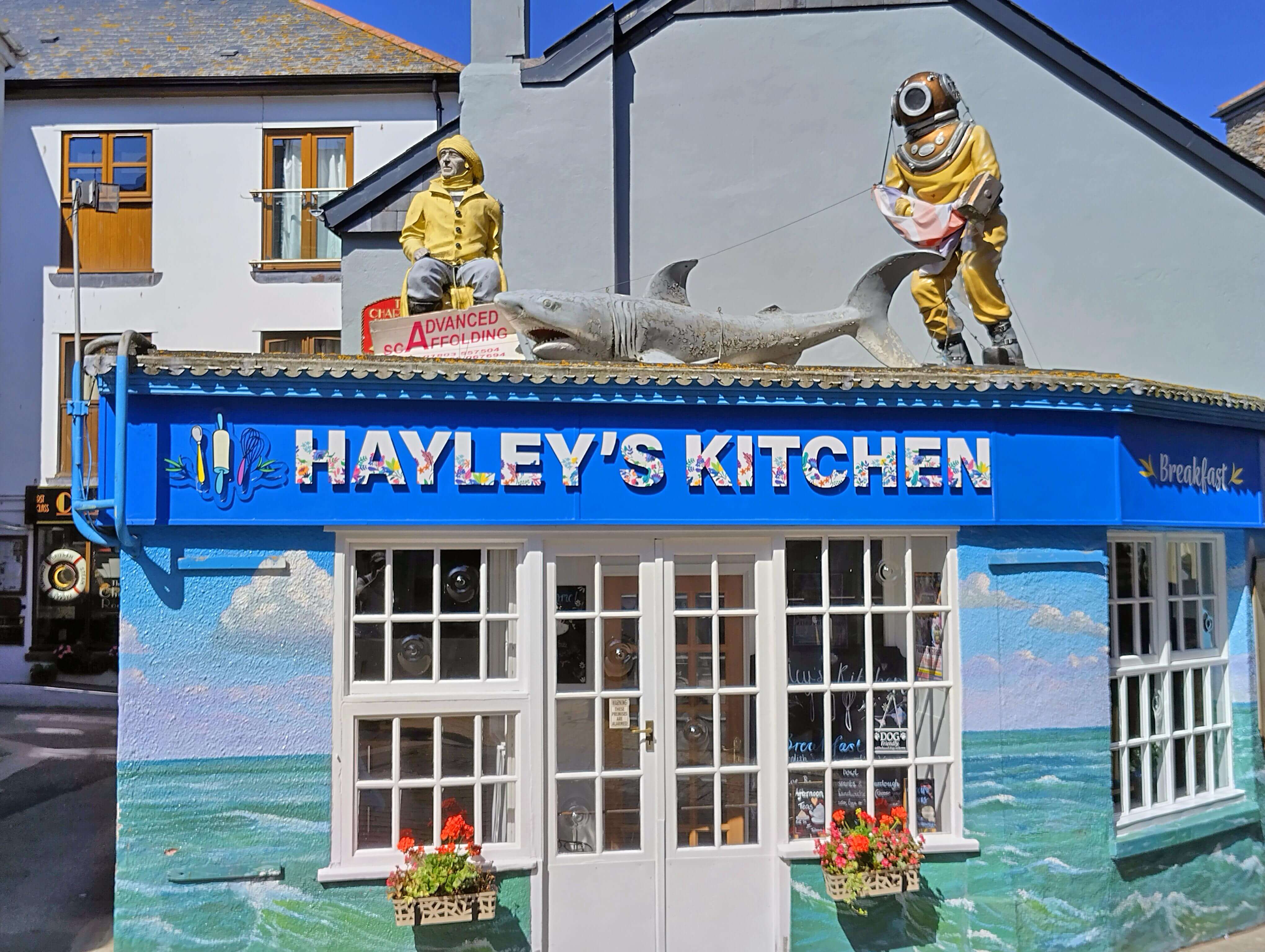 Hayley's Kitchen